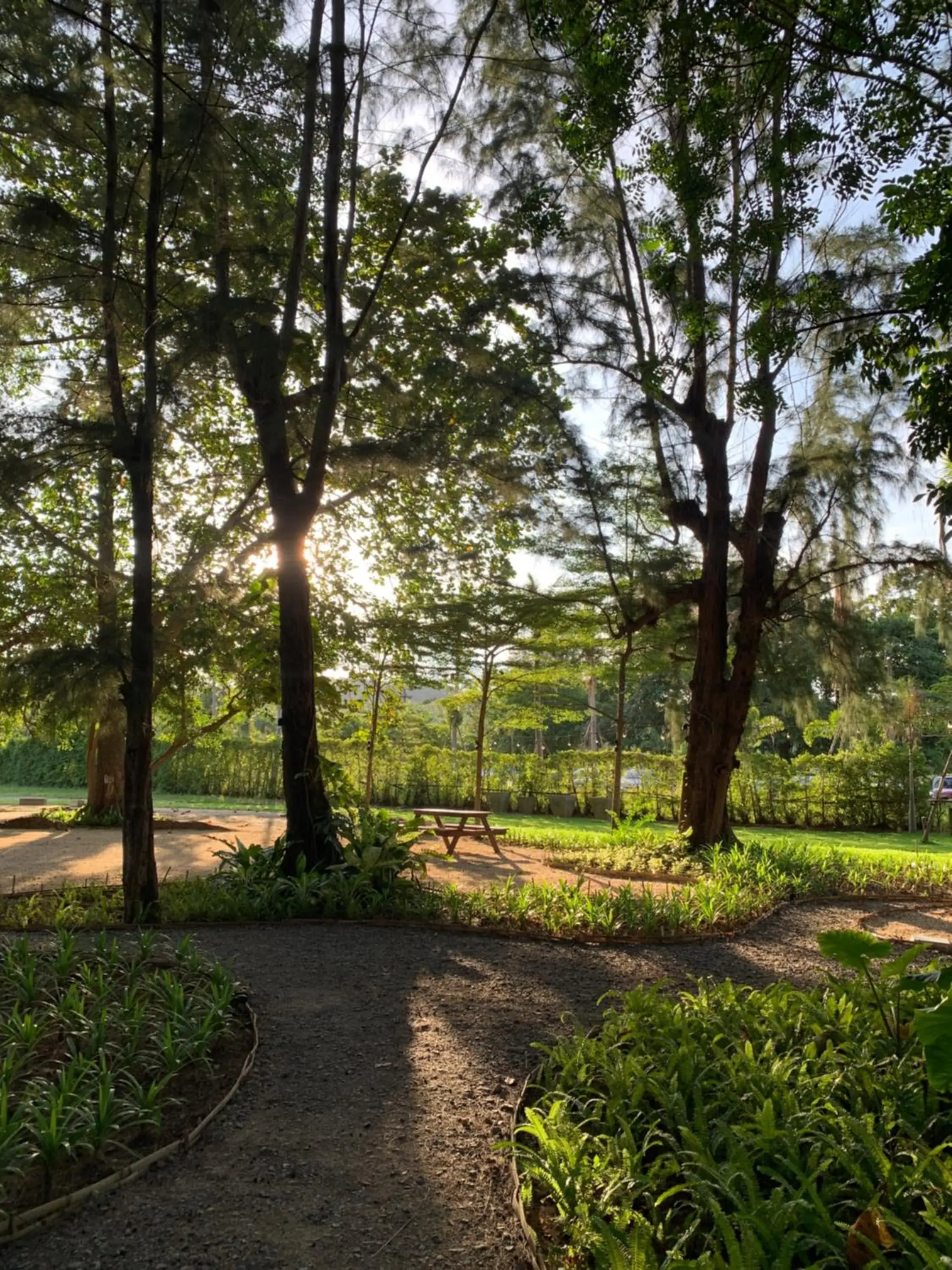 Garden view in Issara Beach Resort Beachfront Garden view in Issara Beach Resort Beachfront