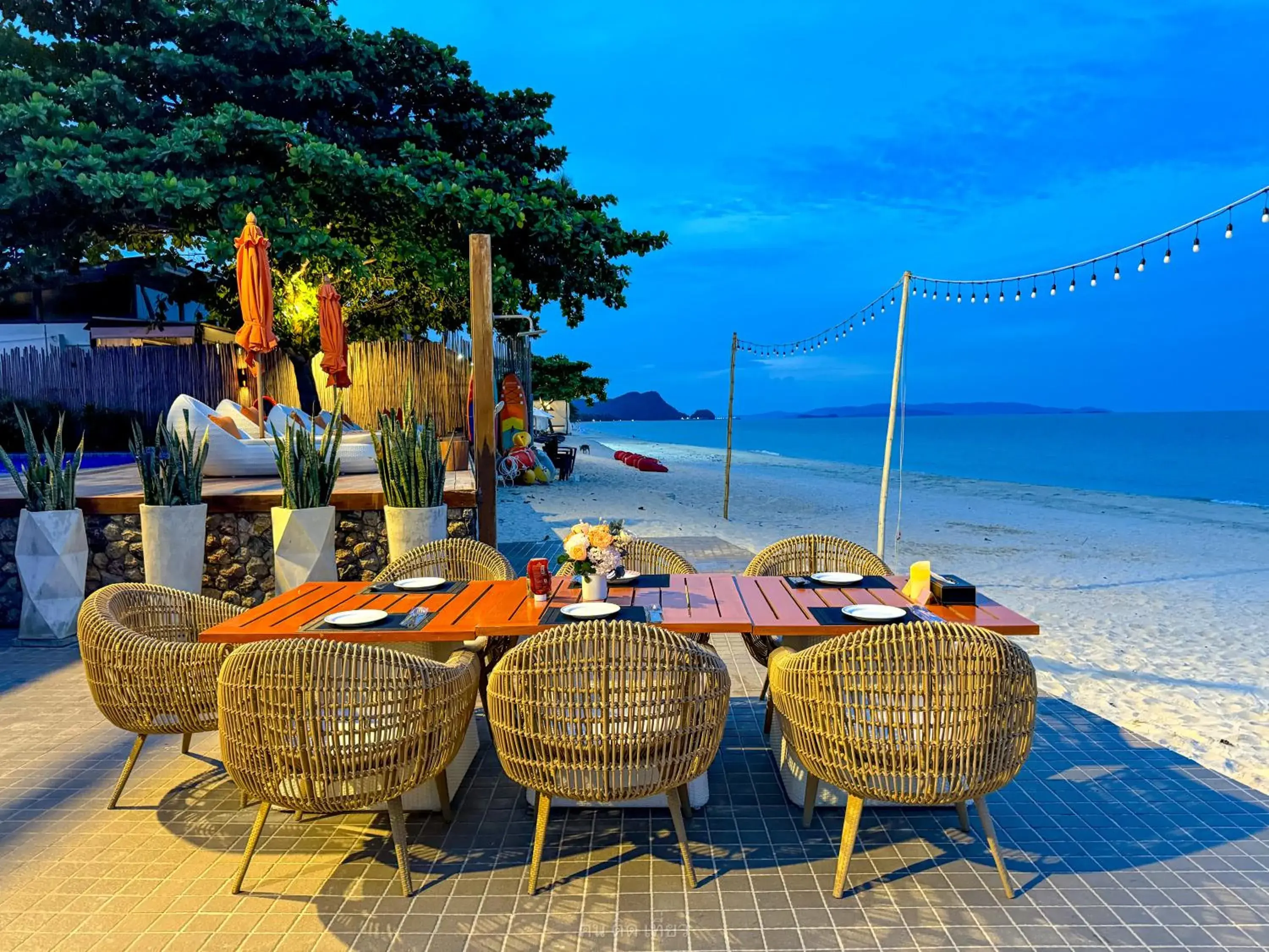 Restaurant/places to eat in Yotaka Khanom Restaurant/places to eat in Yotaka Khanom