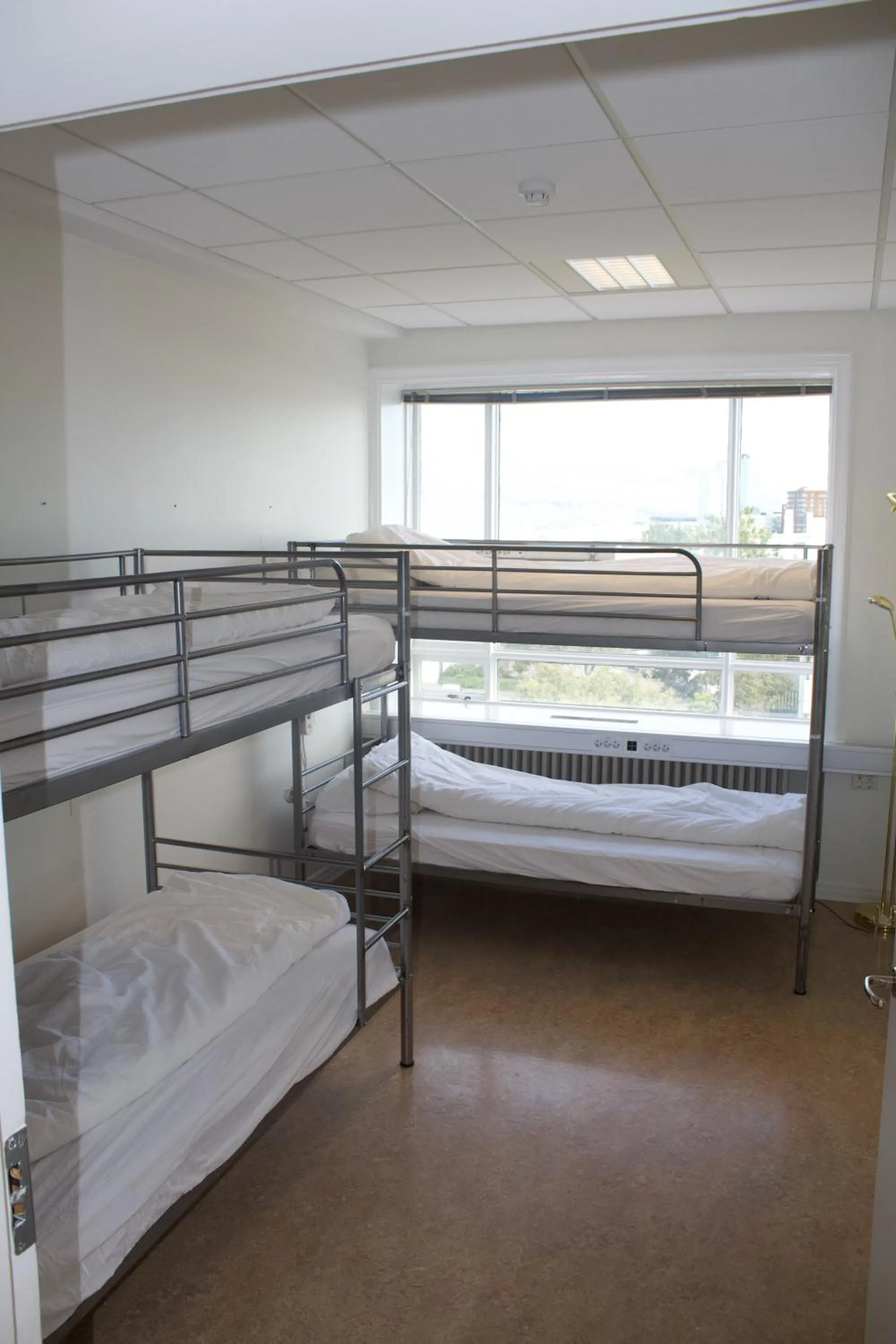 Photo of the whole room, Bed in Baron's Hostel