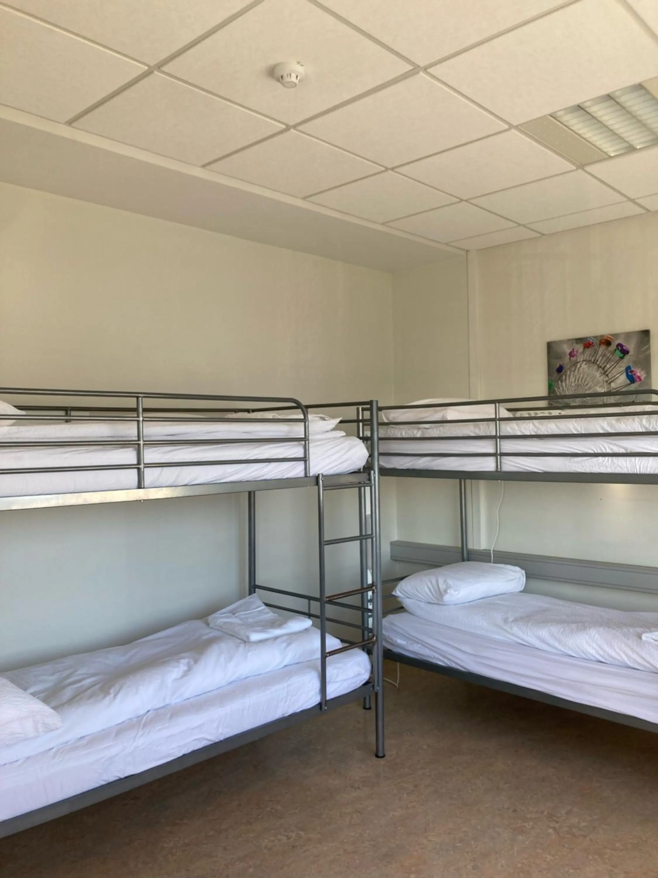 Bedroom, Bed in Baron's Hostel