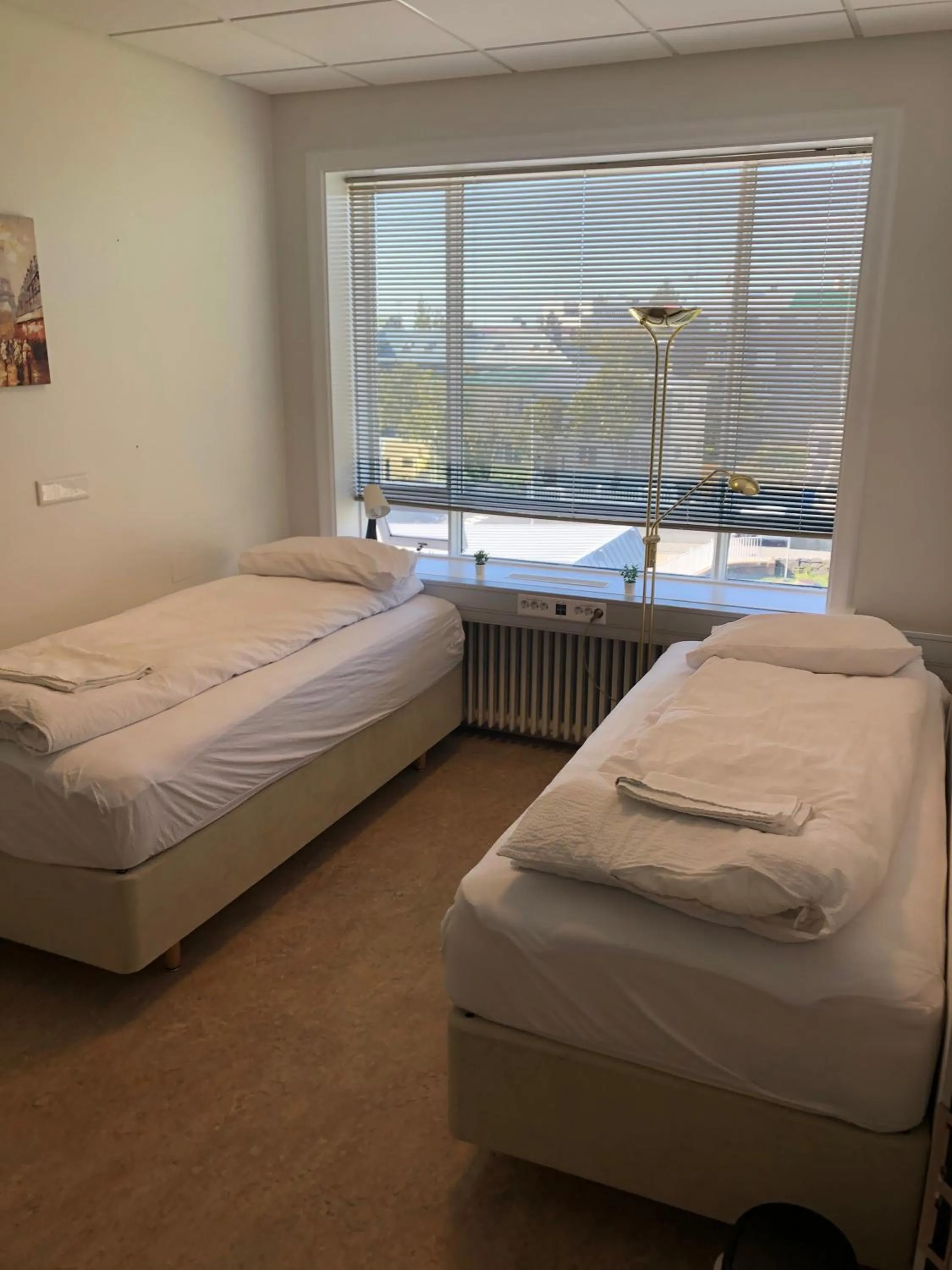 Bedroom, Bed in Baron's Hostel