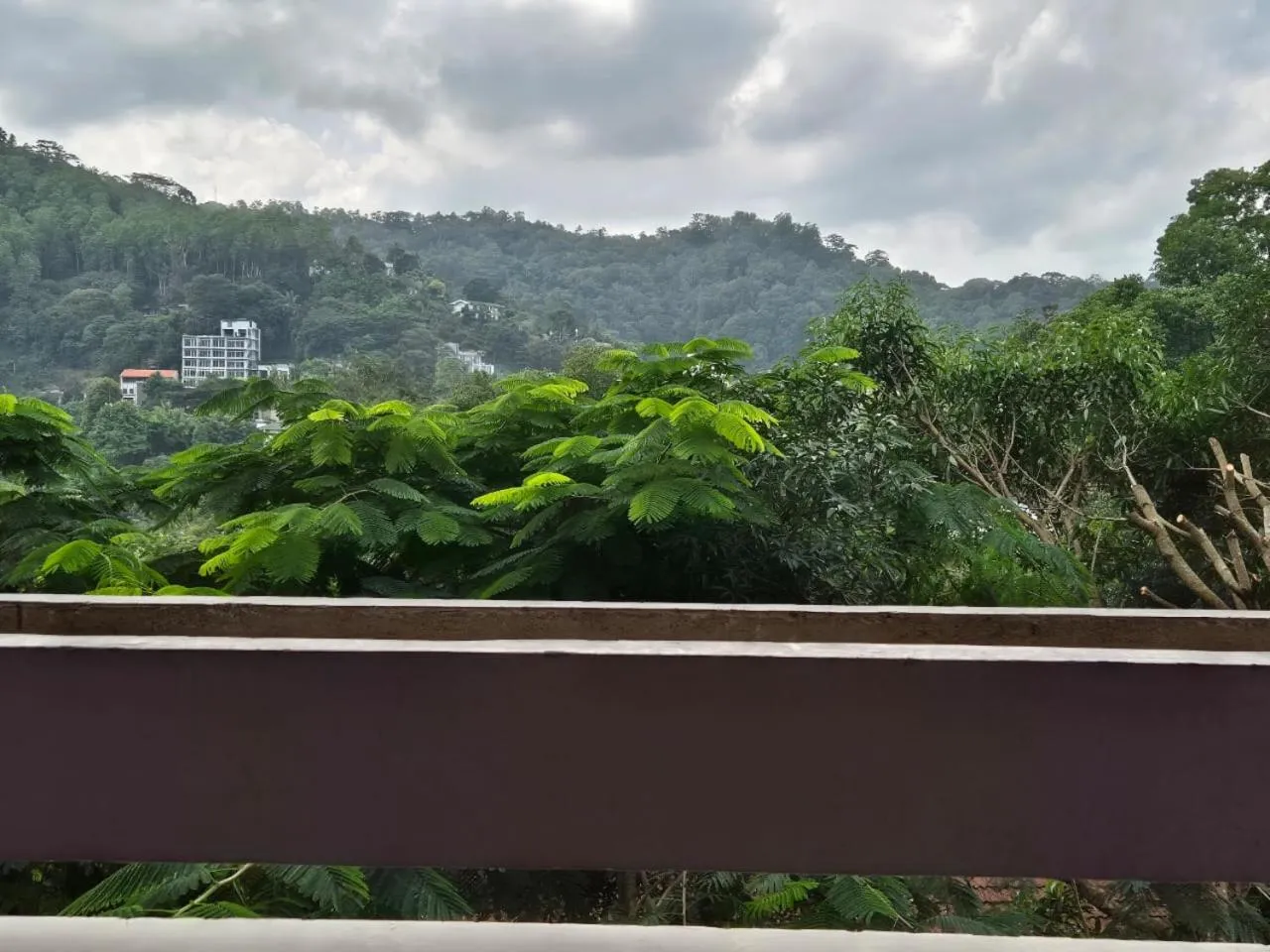 Property building in Lazy Bear Best Hostel in Kandy