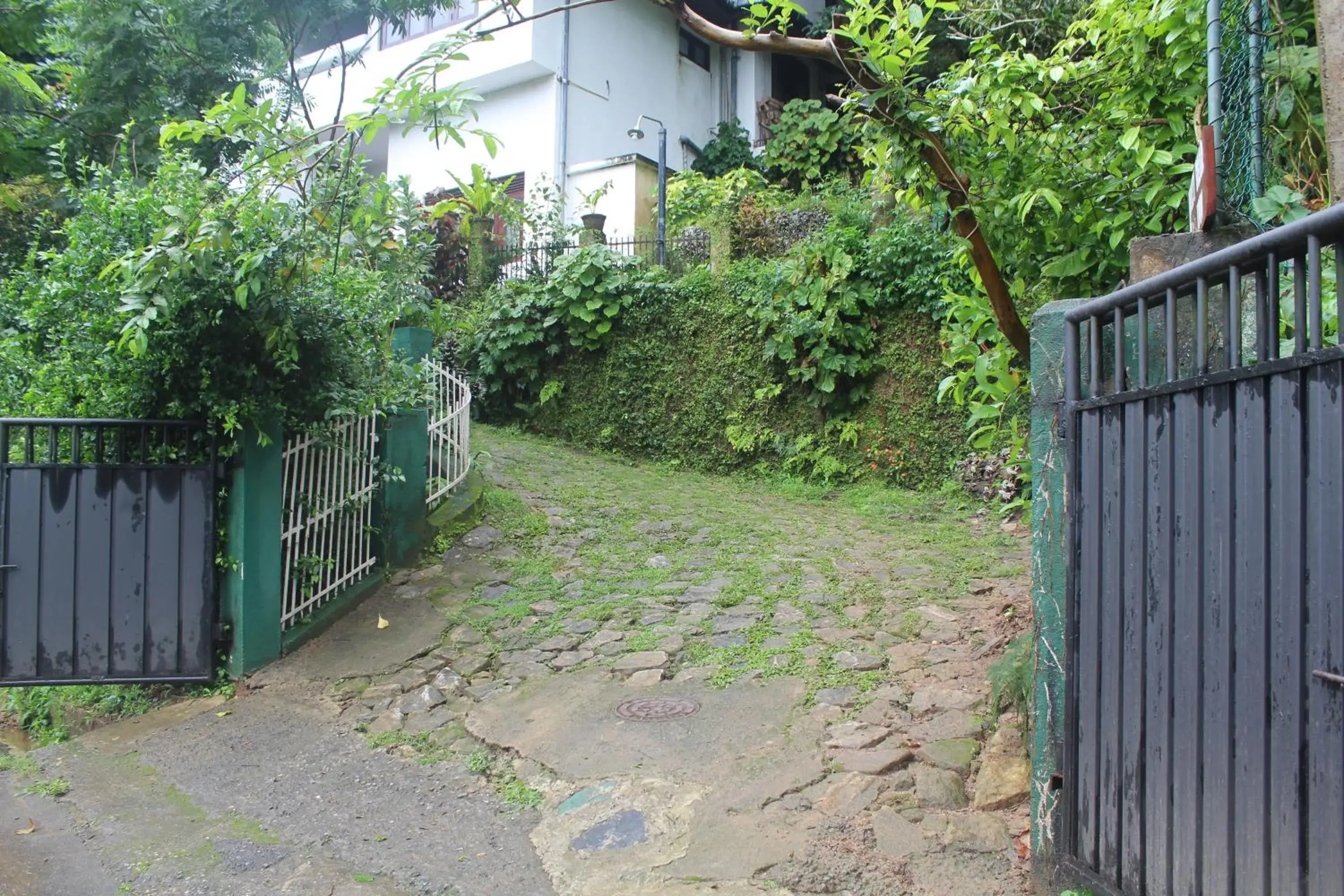 Property building in Lazy Bear Best Hostel in Kandy Property building in Lazy Bear Best Hostel in Kandy