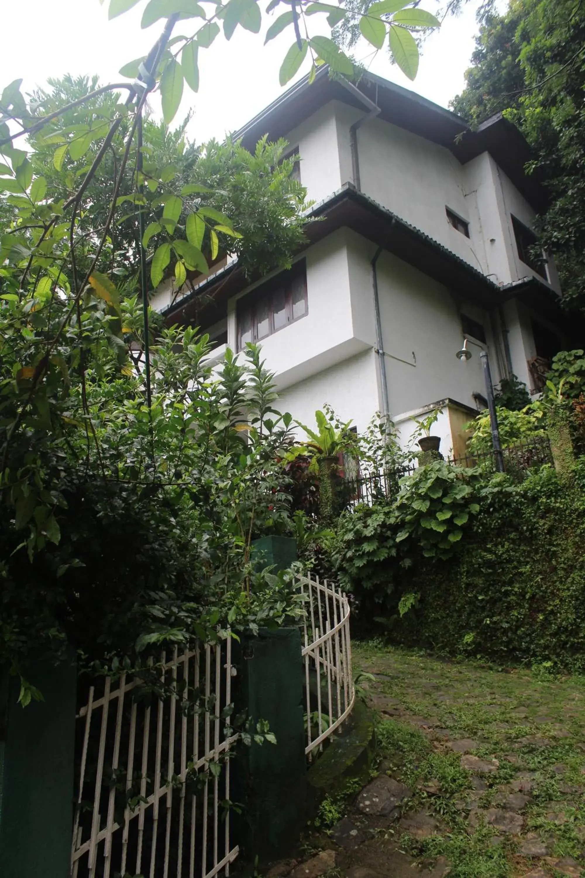 Property building in Lazy Bear Best Hostel in Kandy Property building in Lazy Bear Best Hostel in Kandy