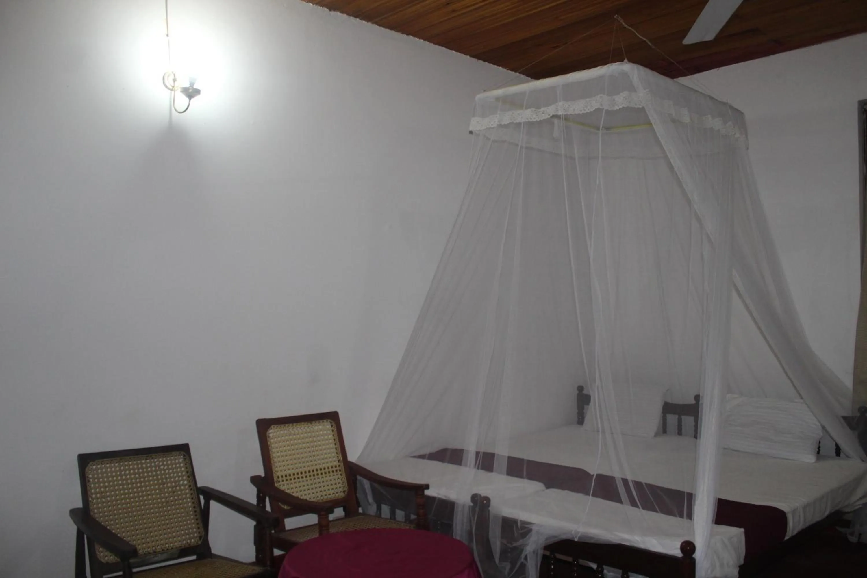 Bedroom in Lazy Bear Best Hostel in Kandy