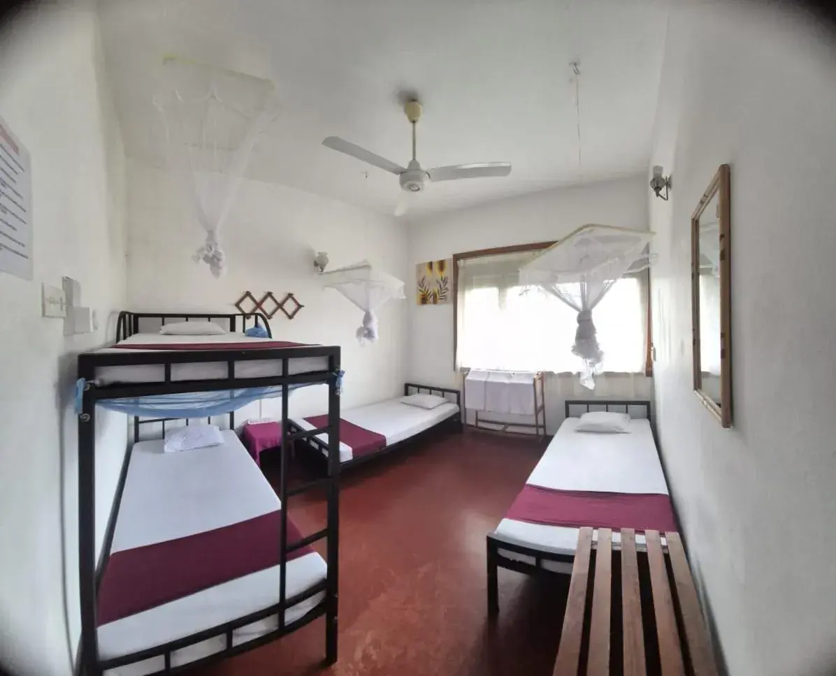 Property building, Bed in Lazy Bear Best Hostel in Kandy Property building, Bed in Lazy Bear Best Hostel in Kandy