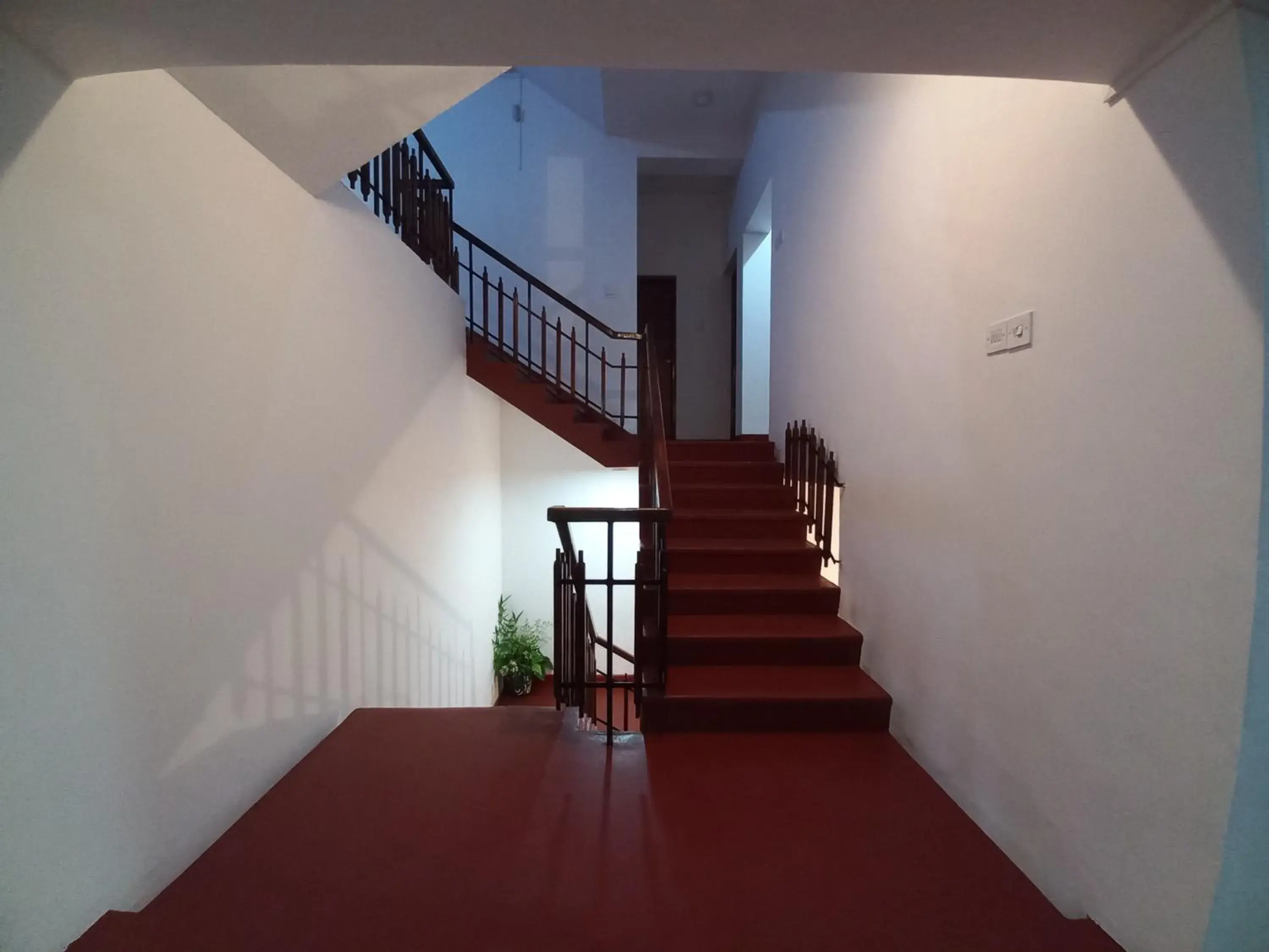 Facade/entrance in Lazy Bear Best Hostel in Kandy Facade/entrance in Lazy Bear Best Hostel in Kandy