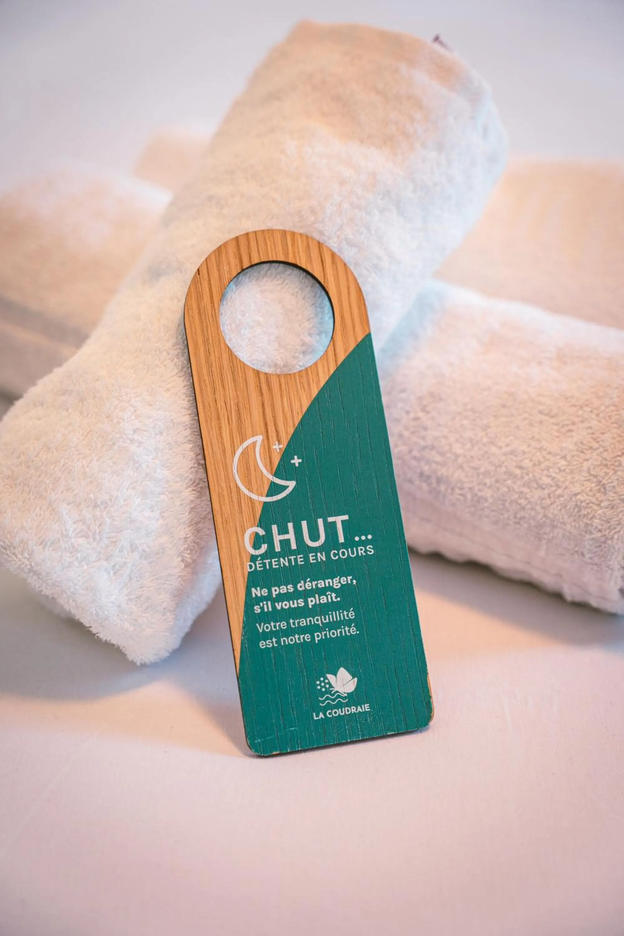 Decorative detail in La Coudraie - Proche de Disneyland