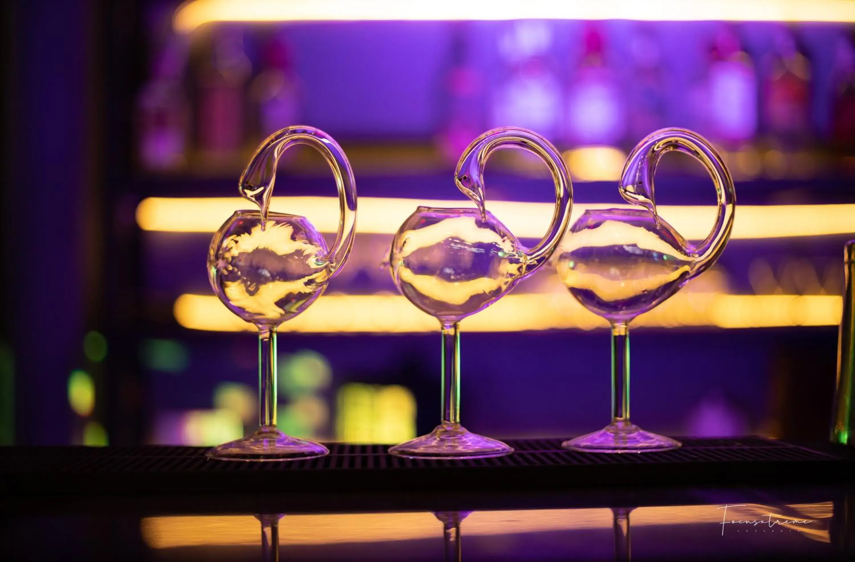 Lounge or bar in Canwin Hotel Lounge or bar in Canwin Hotel