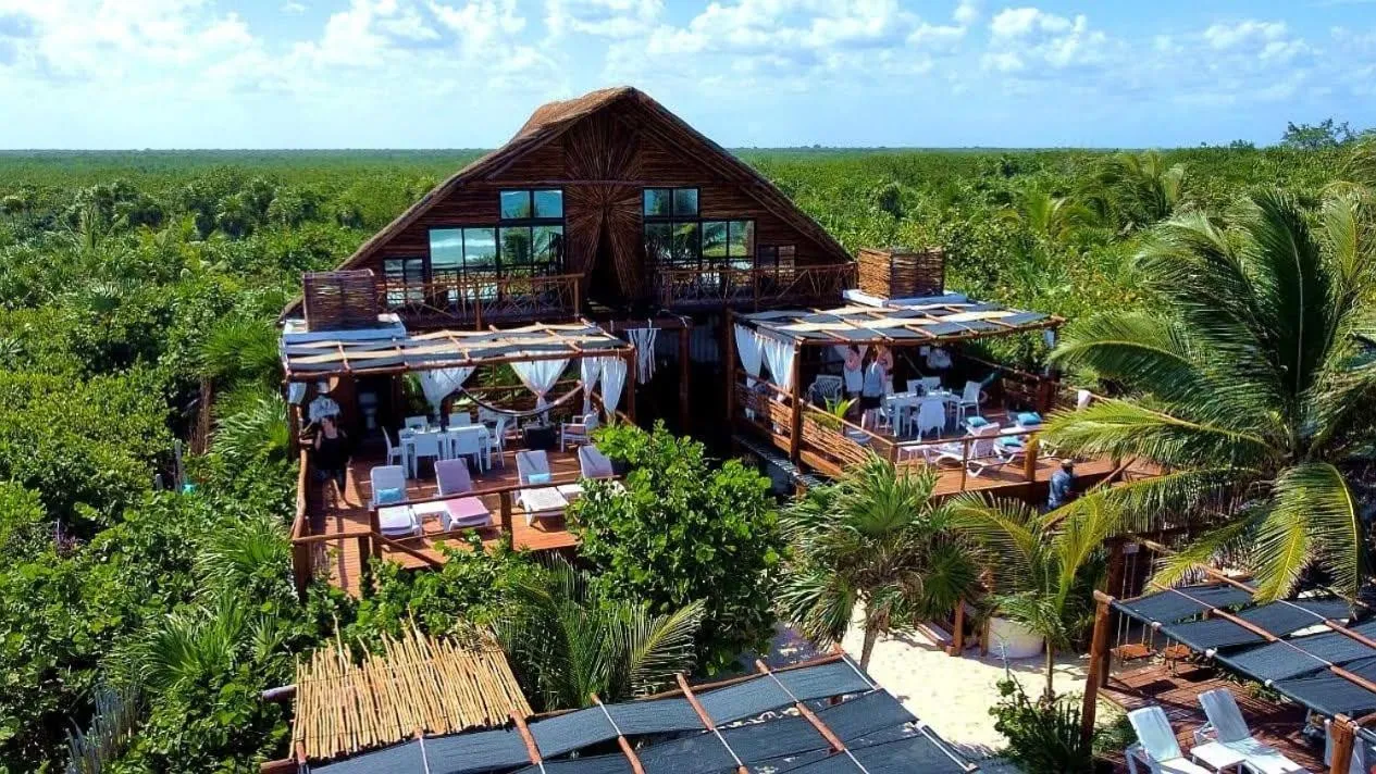 Bird's eye view in Casa Hayhu