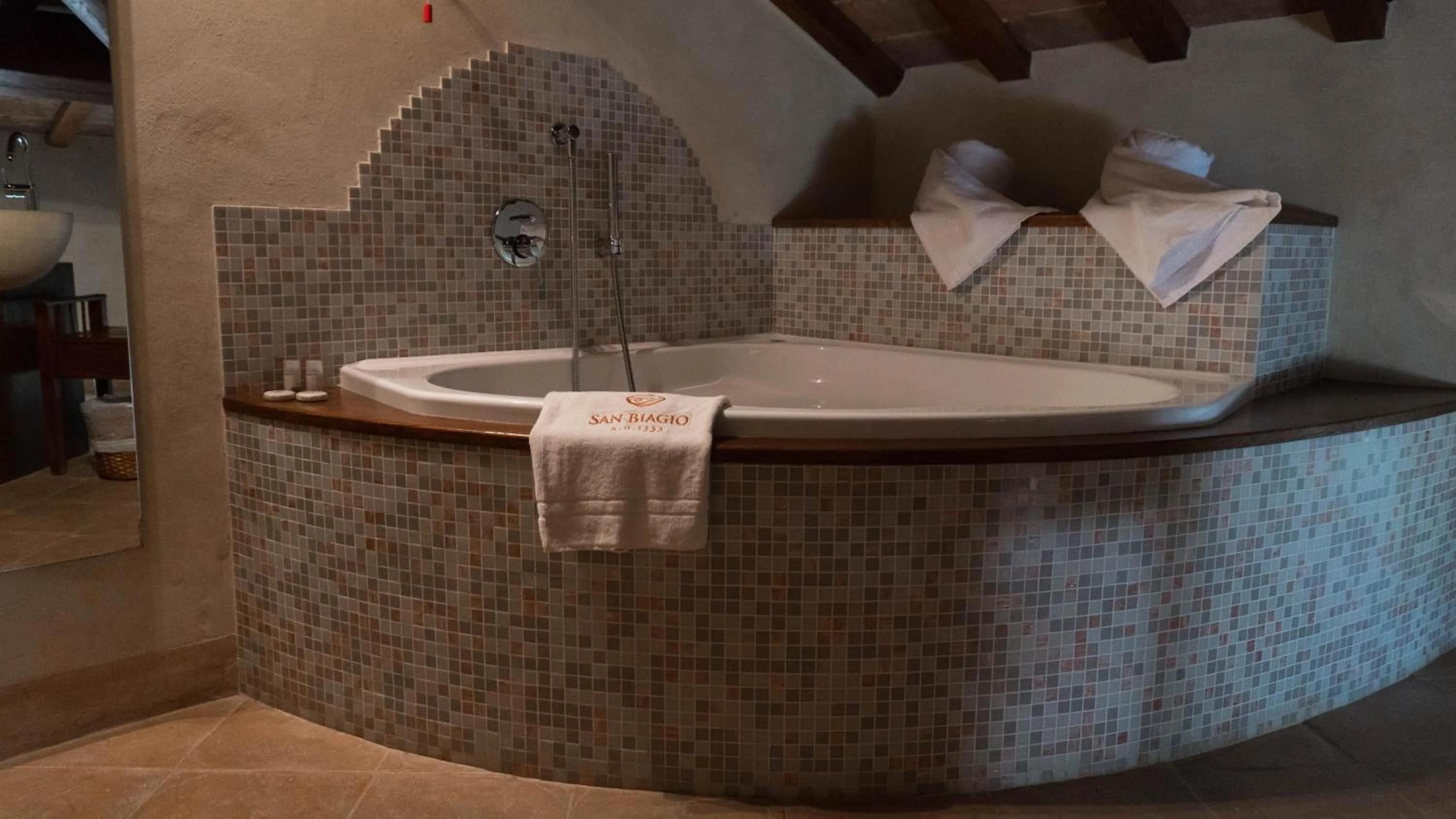 Shower in Agriturismo Monastero Di San Biagio