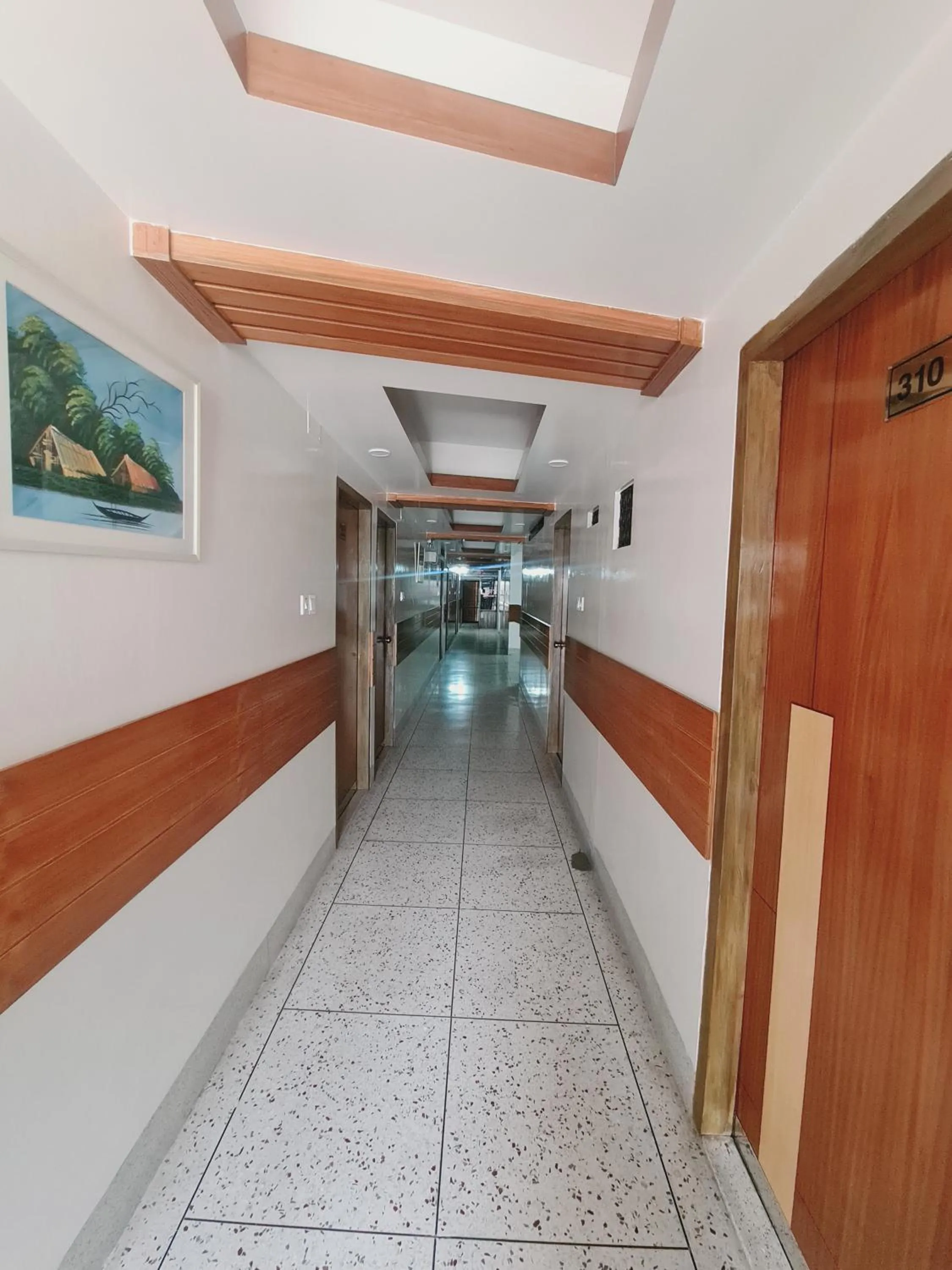 Decorative detail in Hotel Shahin residential