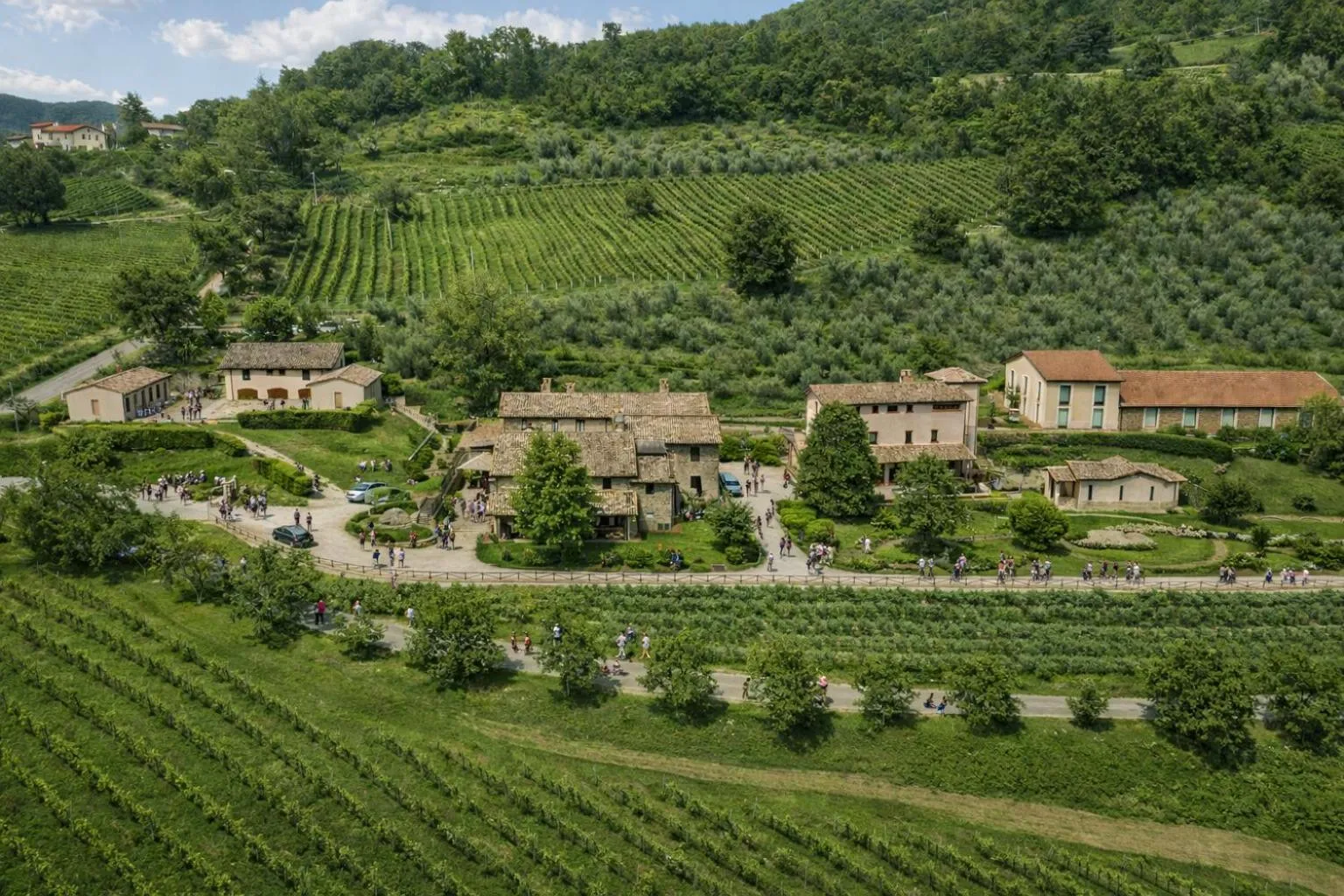 View (from property/room) in Agriturismo Le Case