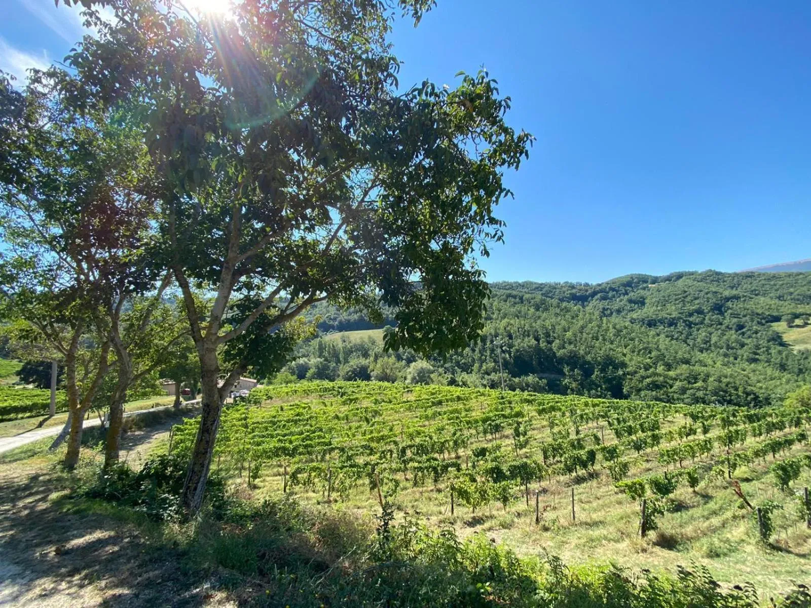 Natural landscape in Agriturismo Le Case