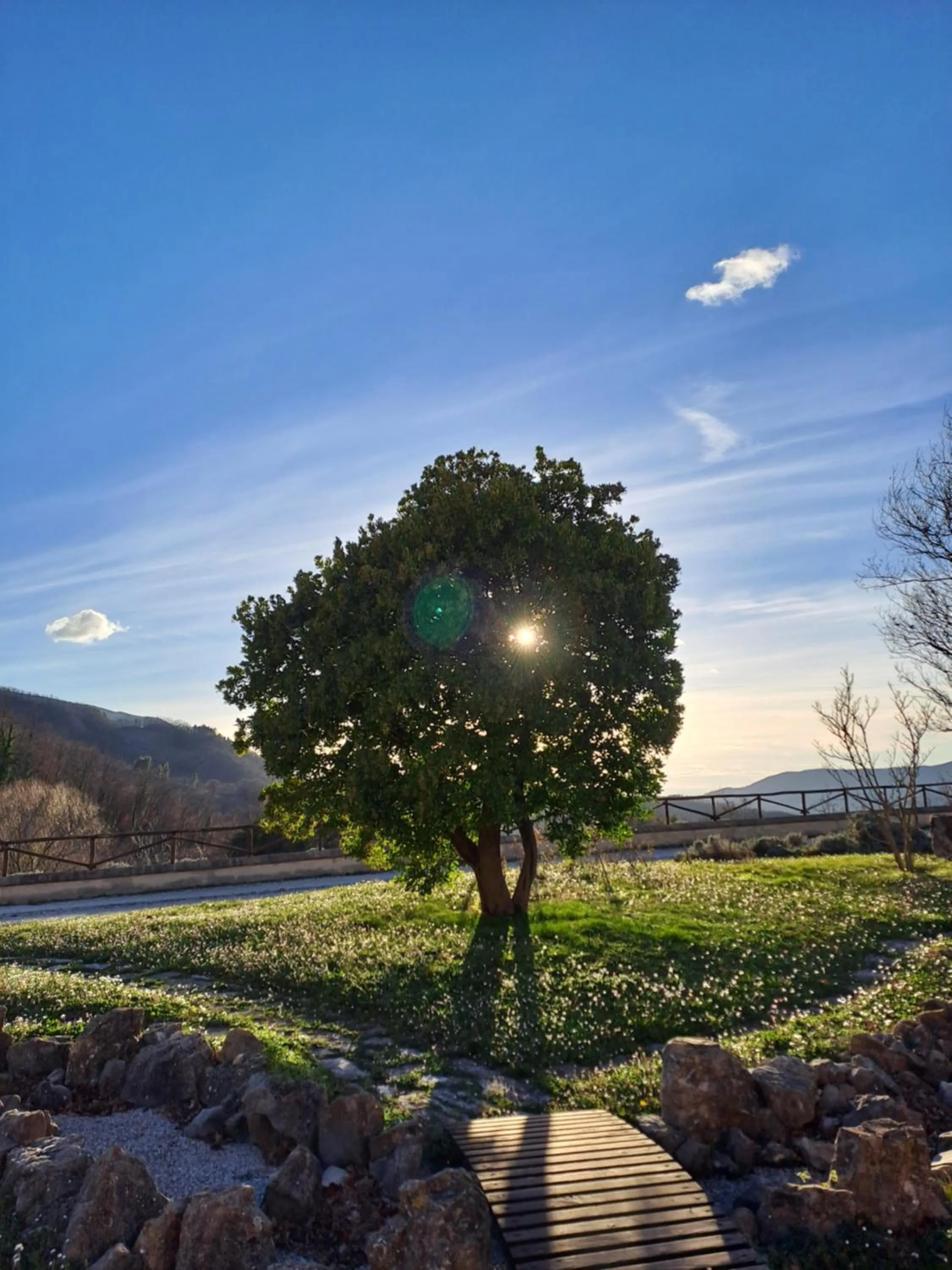 Garden view in Agriturismo Le Case