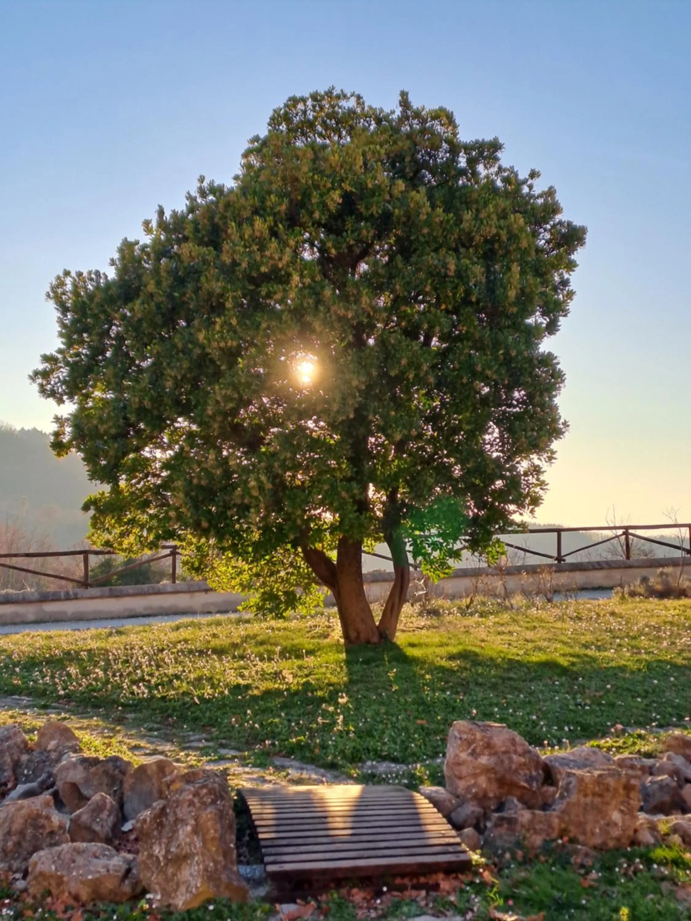 Garden view in Agriturismo Le Case