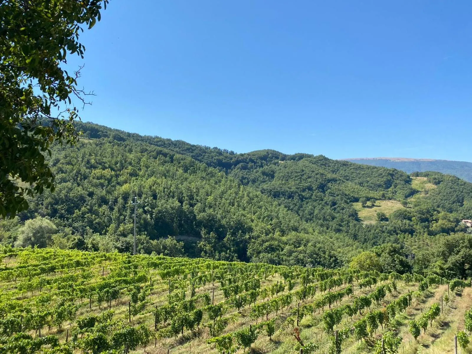 Natural landscape in Agriturismo Le Case