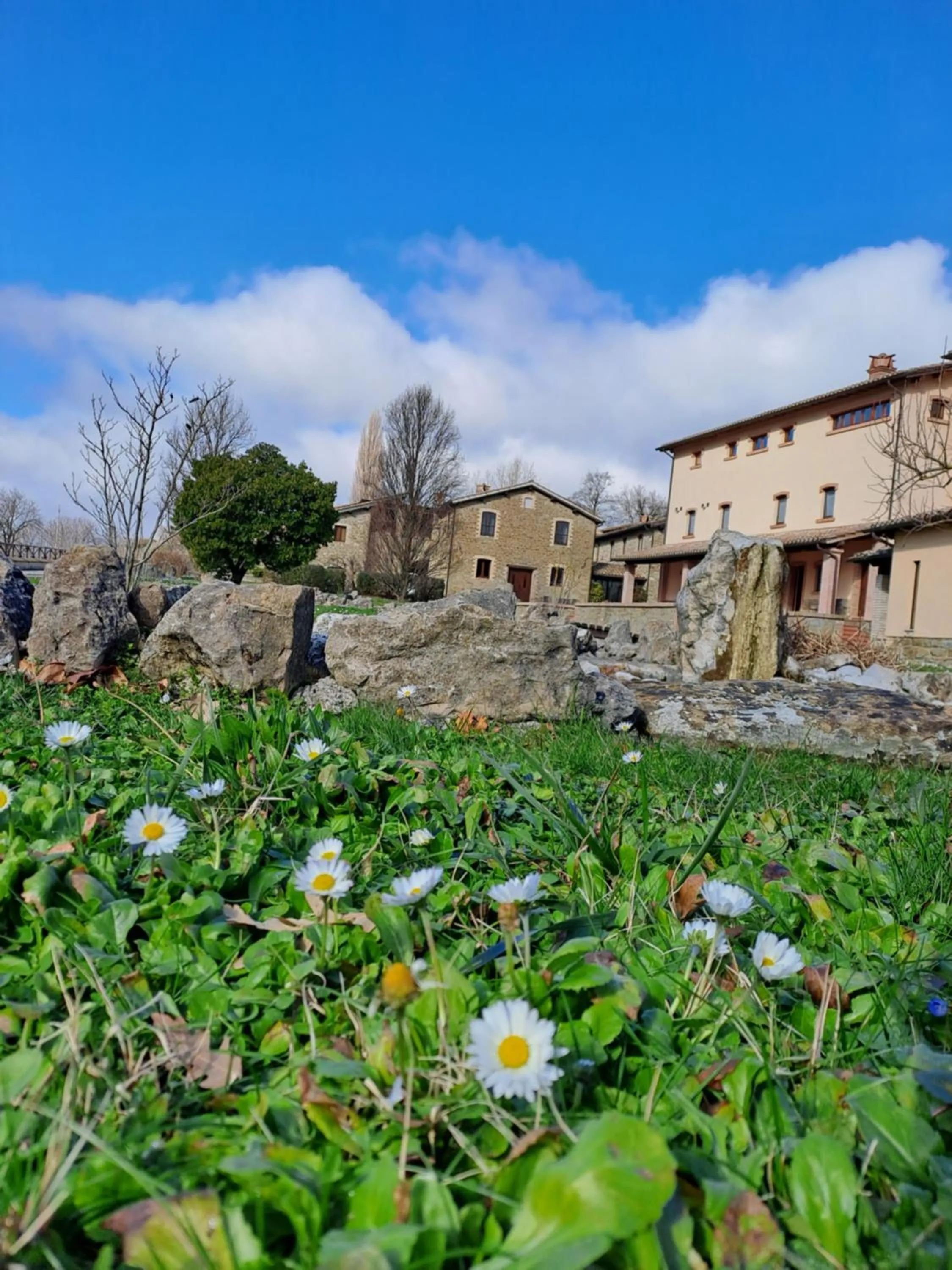 Garden view in Agriturismo Le Case