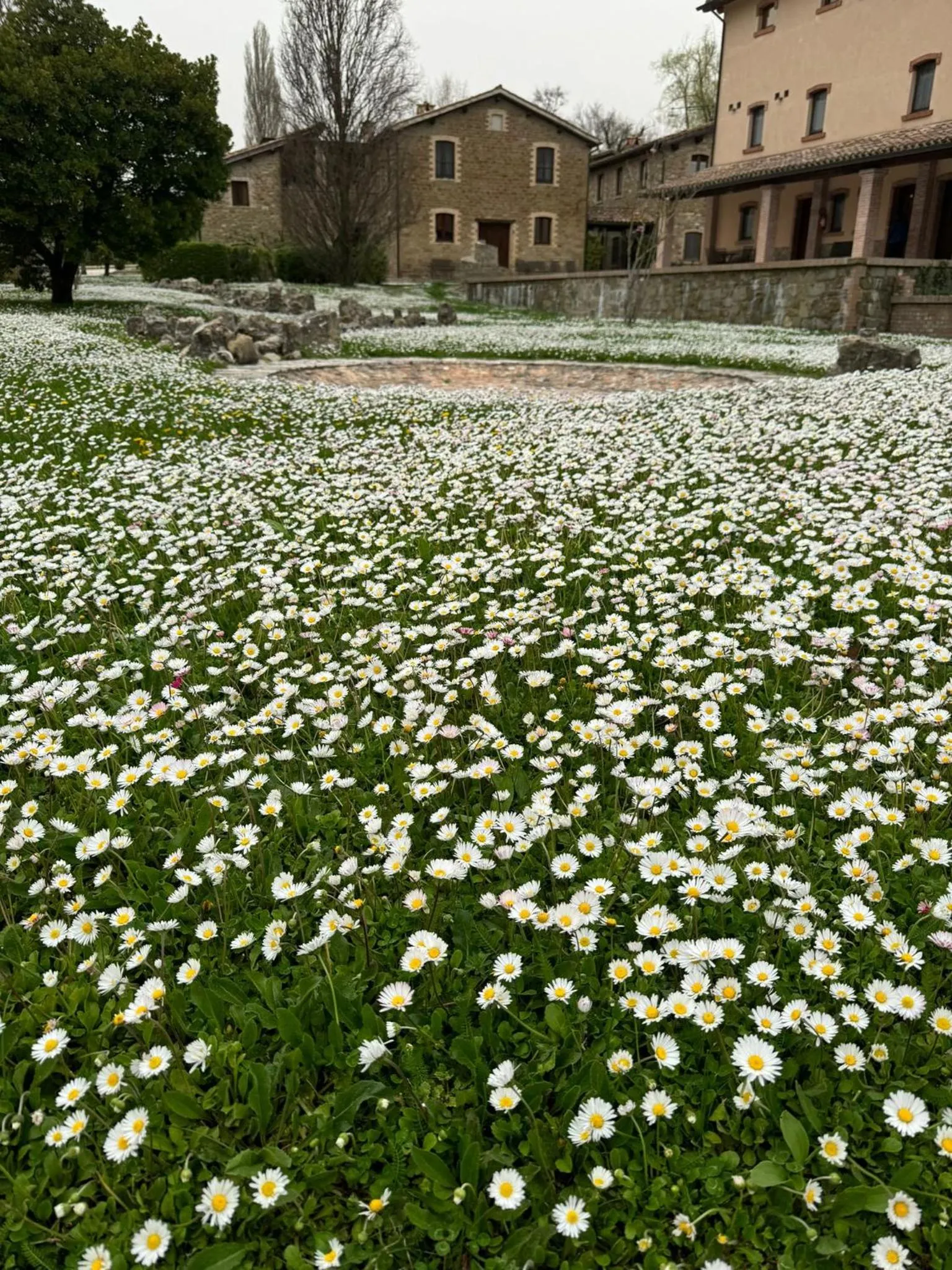 Spring in Agriturismo Le Case