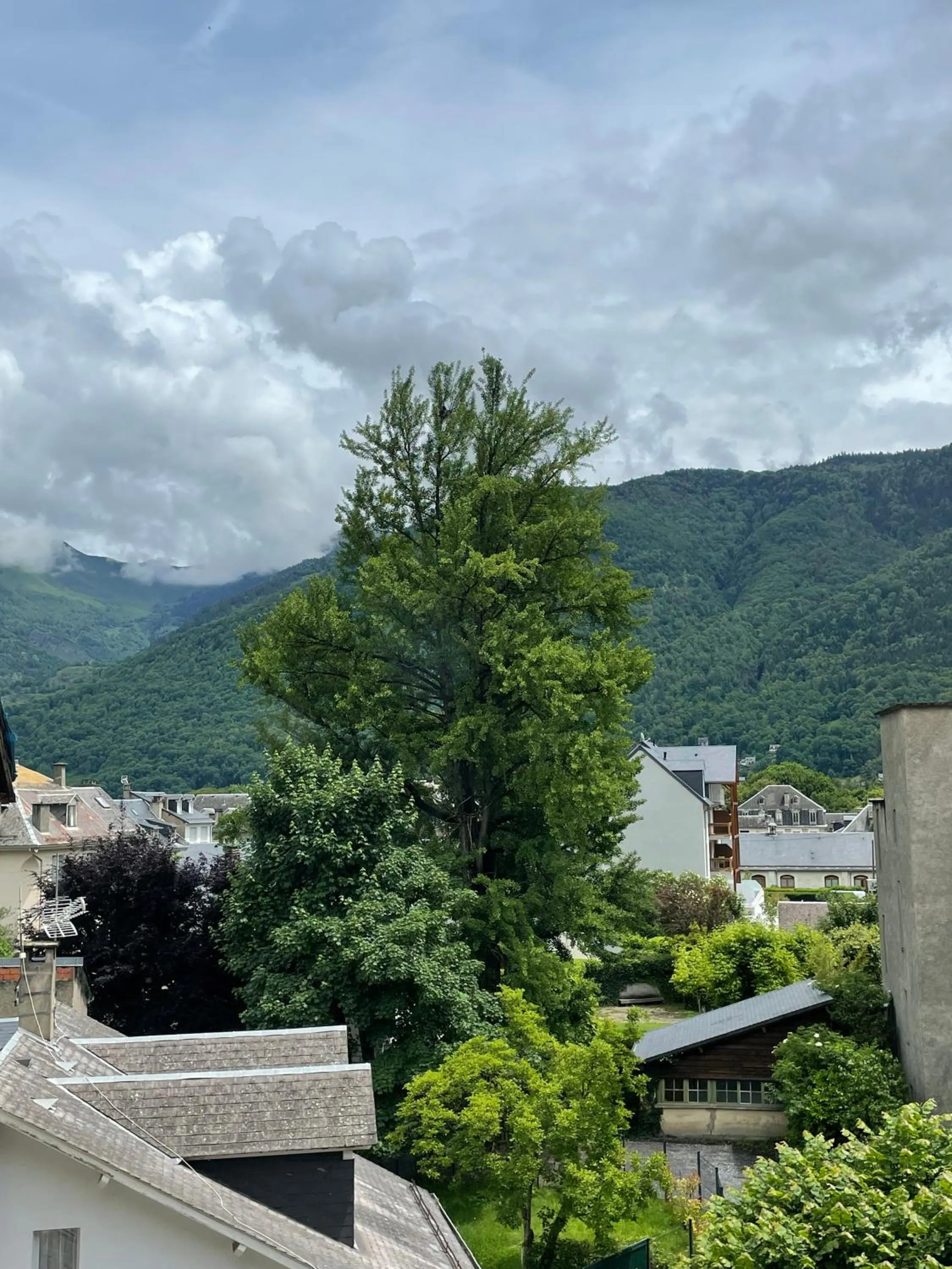 Natural landscape in HOTEL & SPA GASQUET