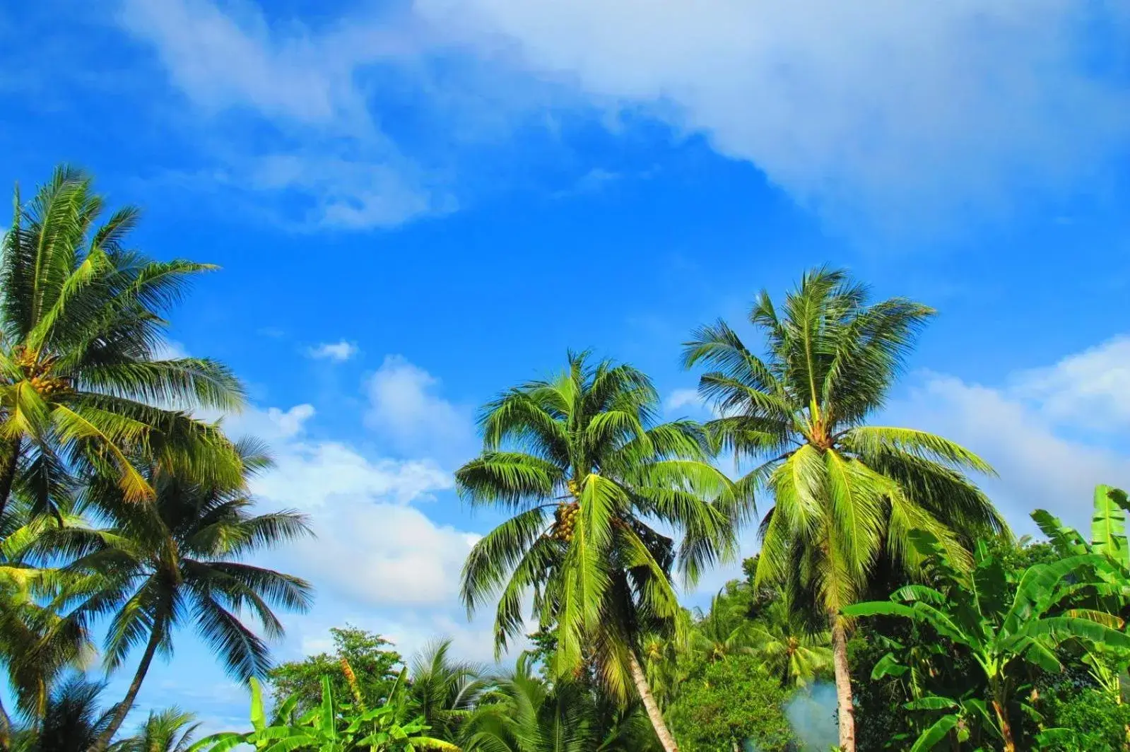 Natural landscape in Seaside Travellers Inn