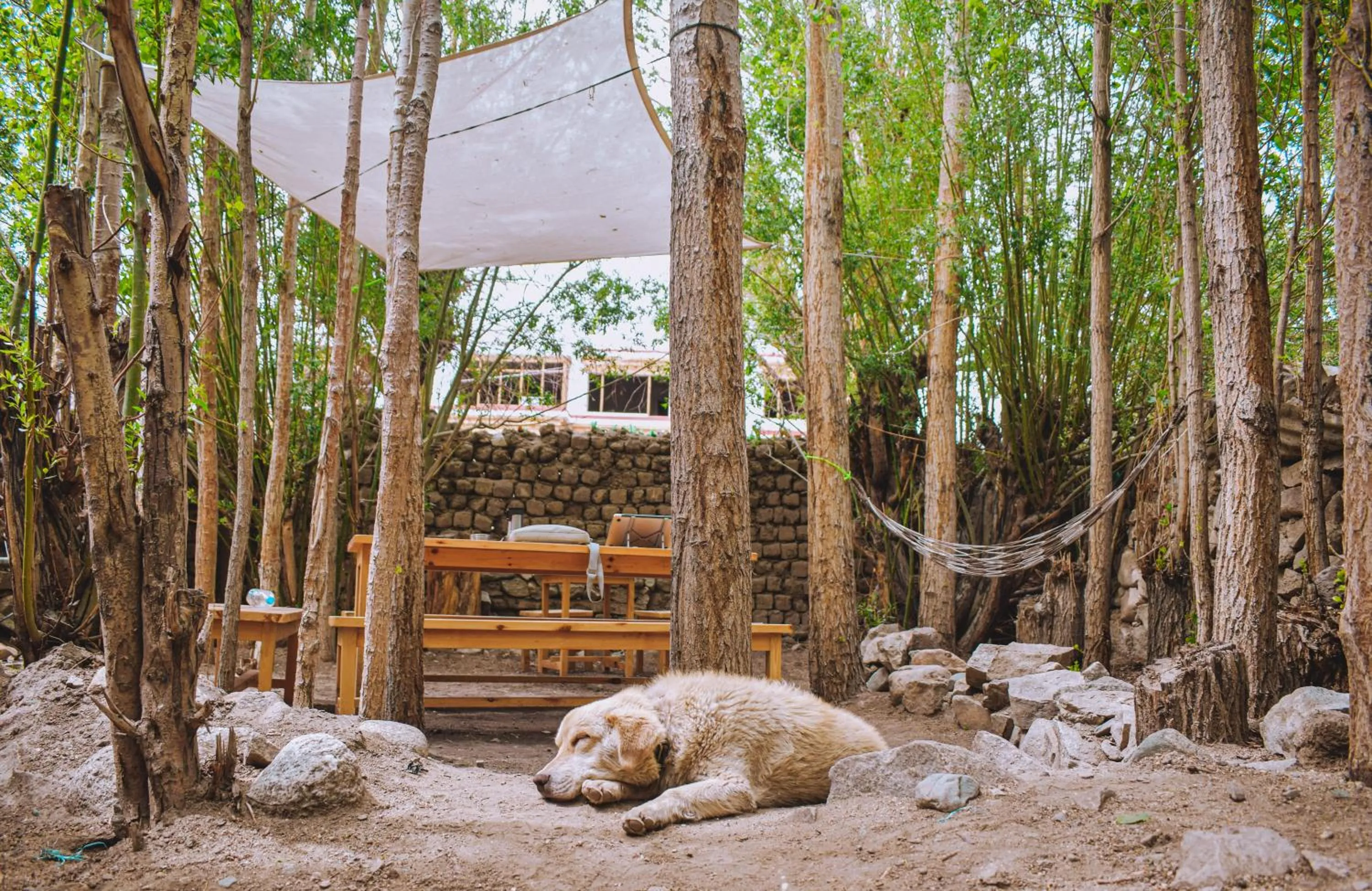 Natural landscape in Raybo Hostel - Serene stay with 5 mins walk from the main market