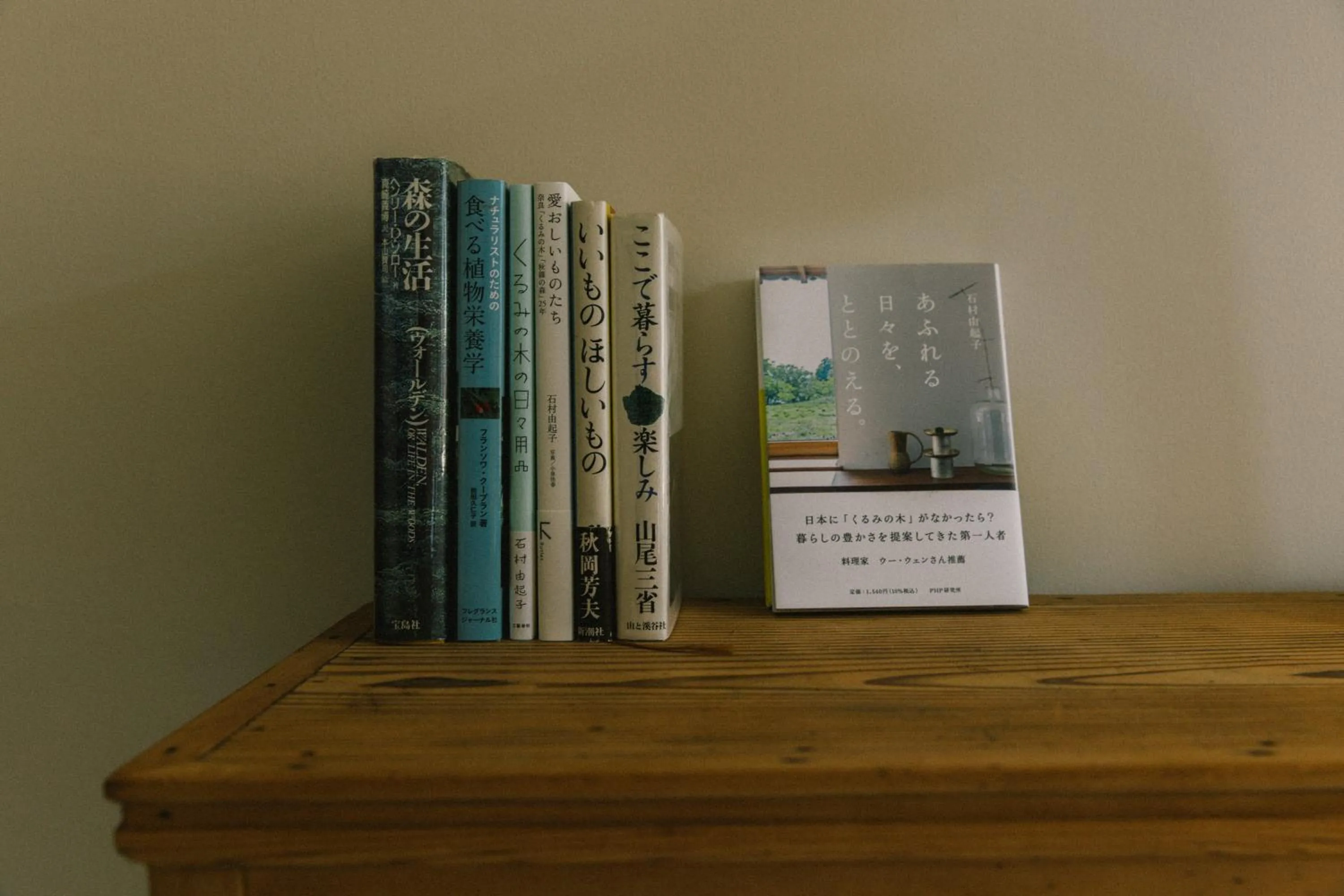 Photo of the whole room in Hatago Vison