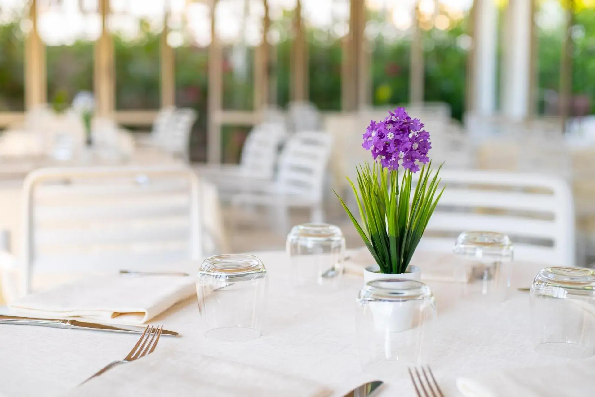 Restaurant/places to eat in Grand Hotel Don Juan Restaurant/places to eat in Grand Hotel Don Juan