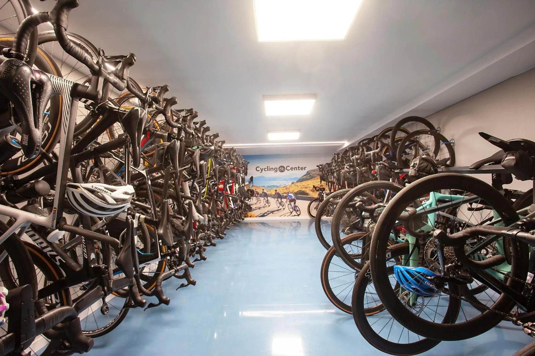 Activities in THB Bamboo Alcudia - Adults Only