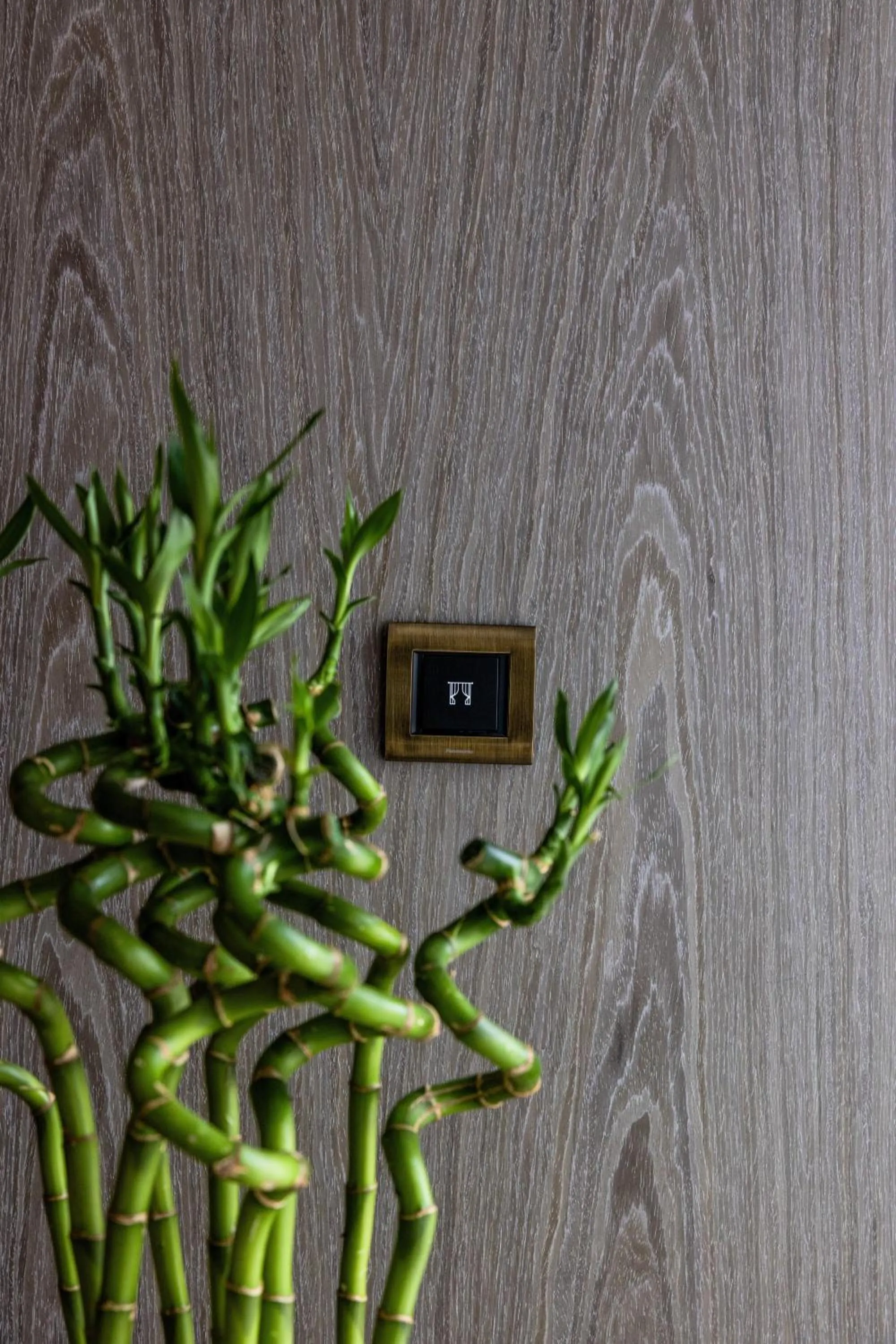 Property building in The Maestro Hotel