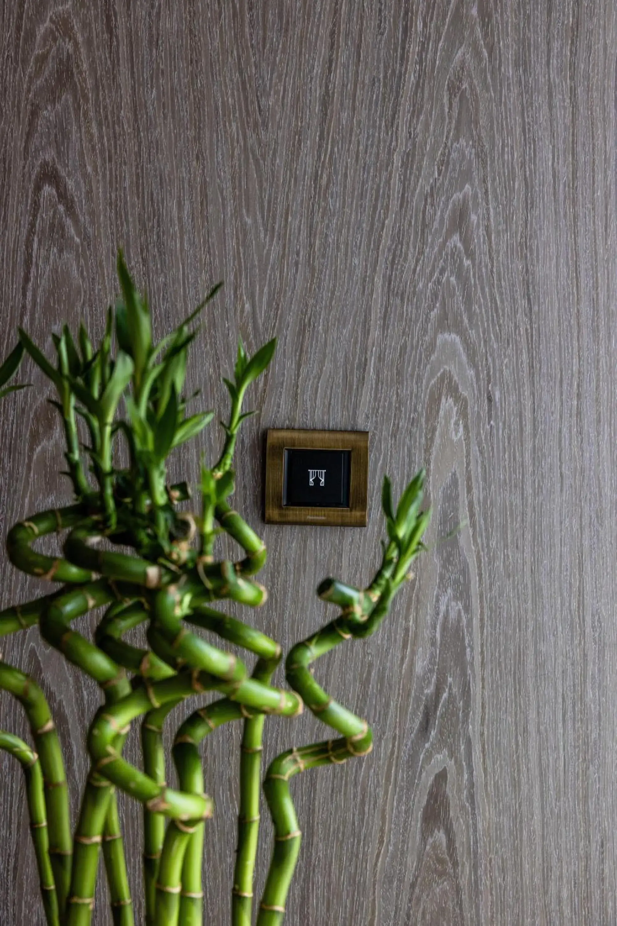 Property building in The Maestro Hotel Property building in The Maestro Hotel