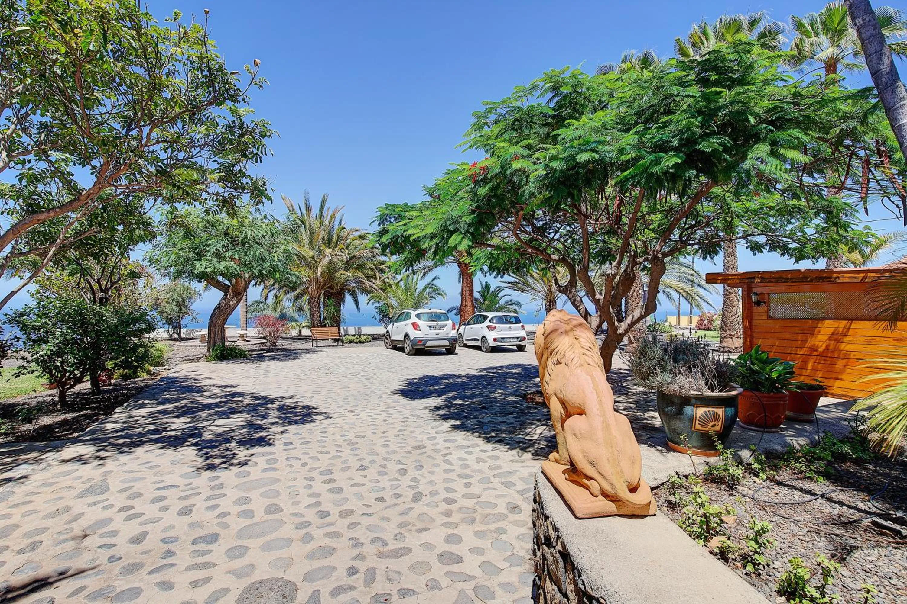 Garden in Finca Marina BuenVivir