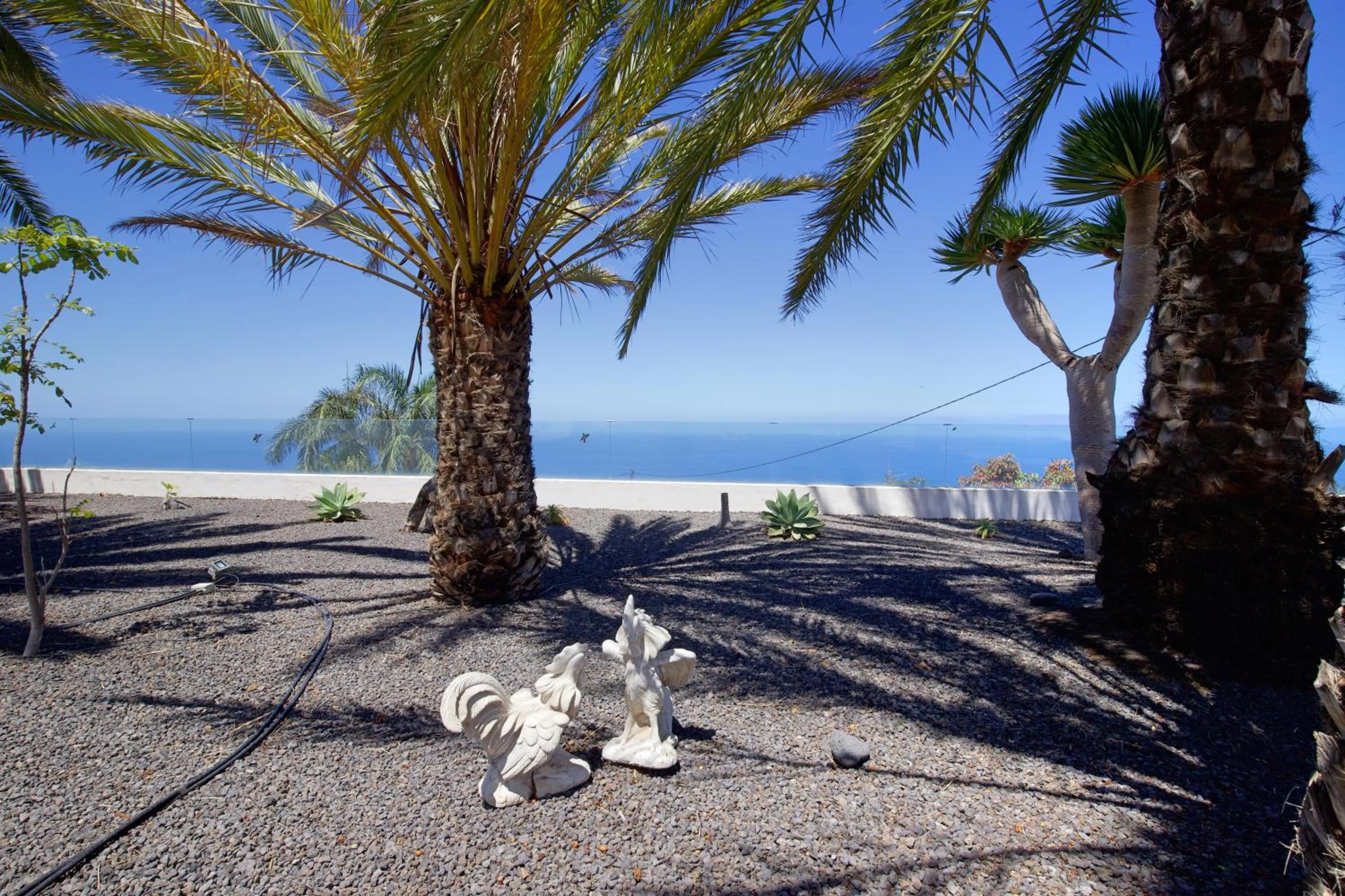 Finca Marina BuenVivir