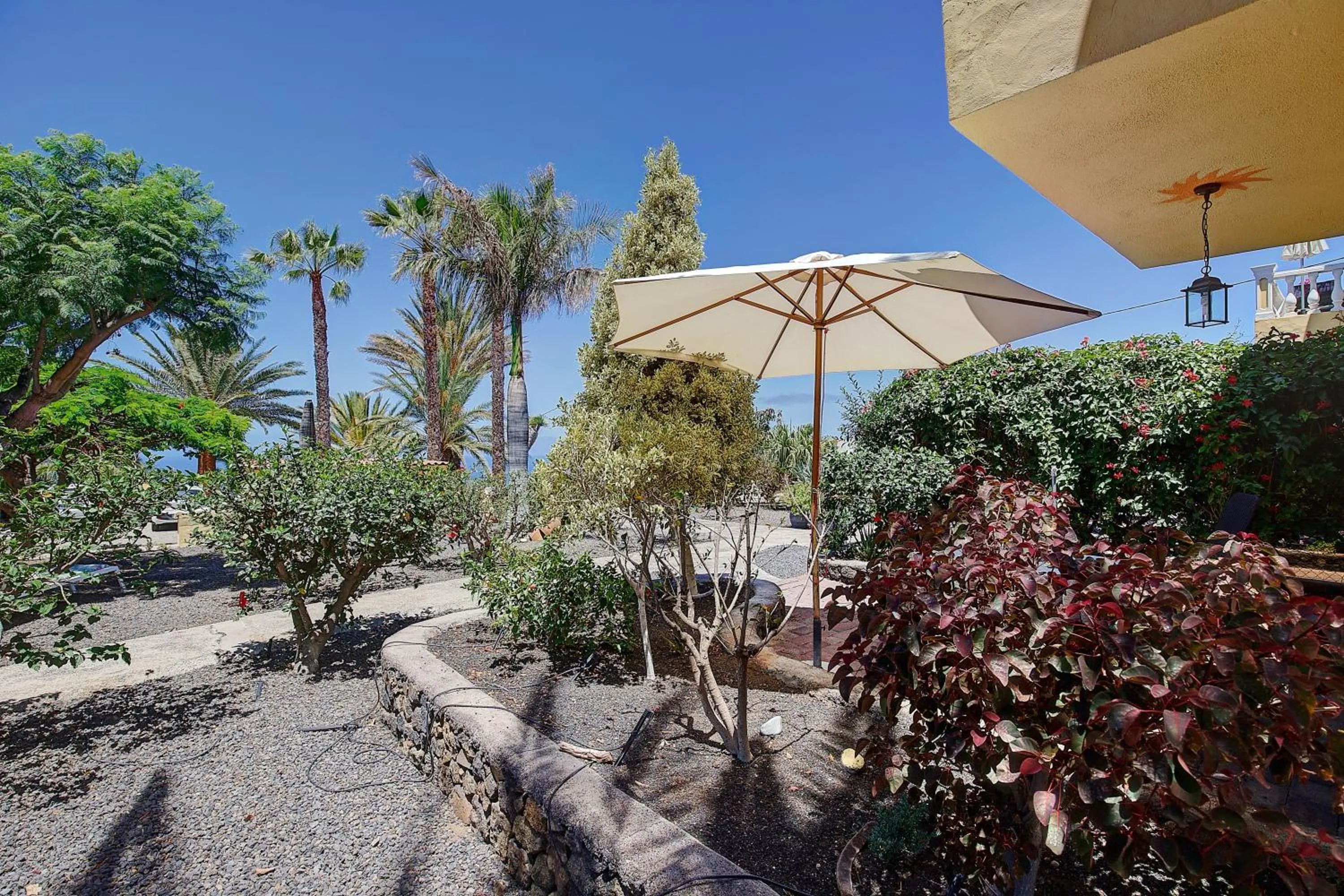 Garden view in Finca Marina BuenVivir