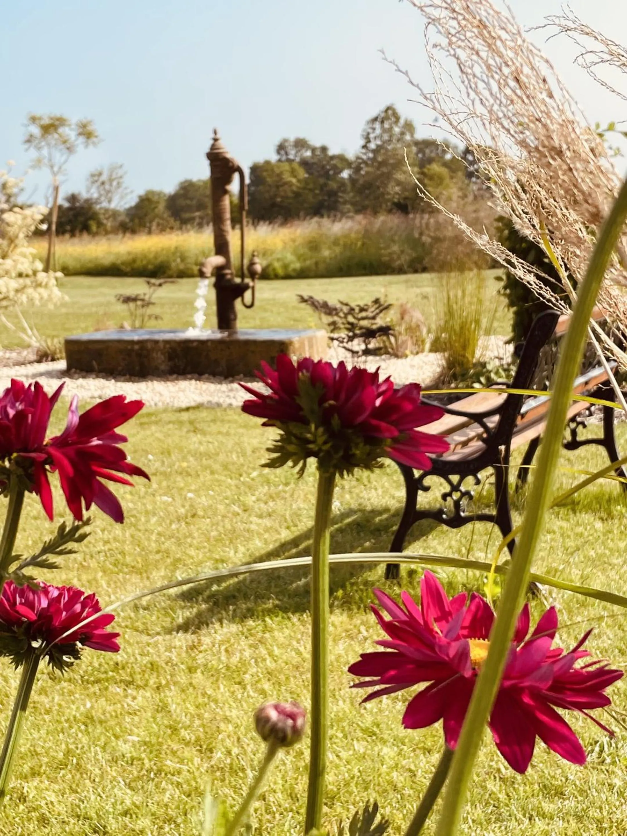 Property building in AureFées