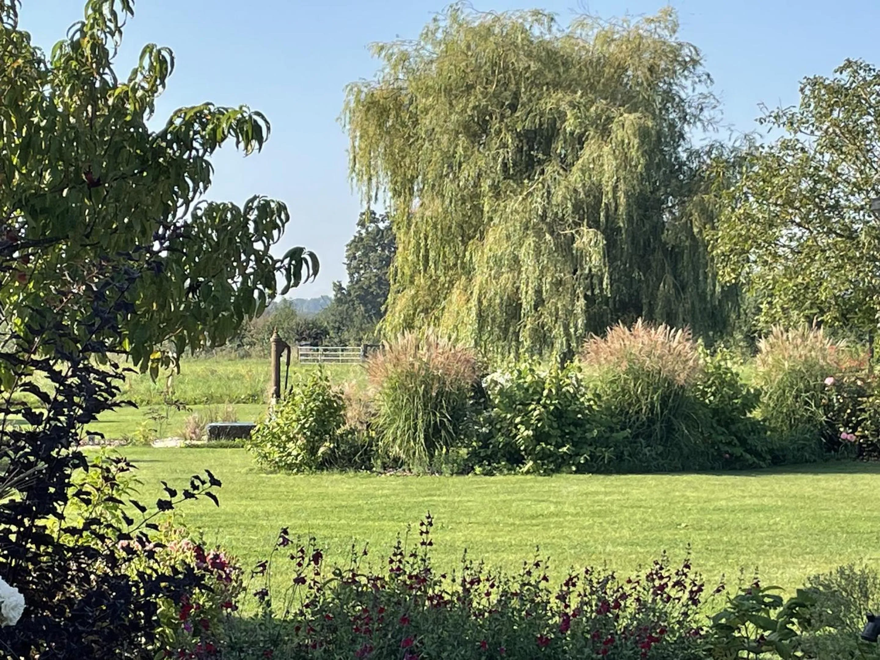 Property building in AureFées
