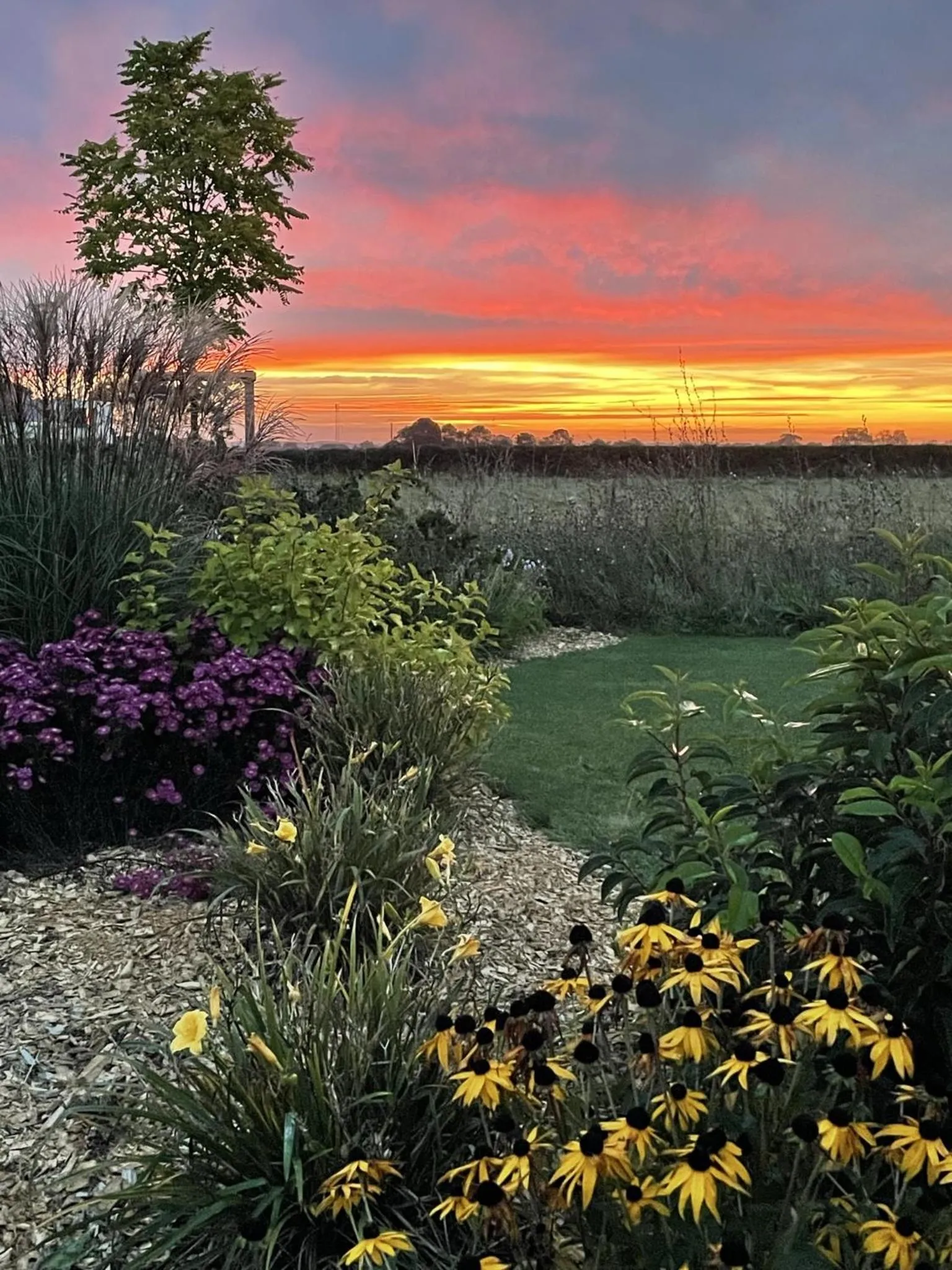 Property building in AureFées