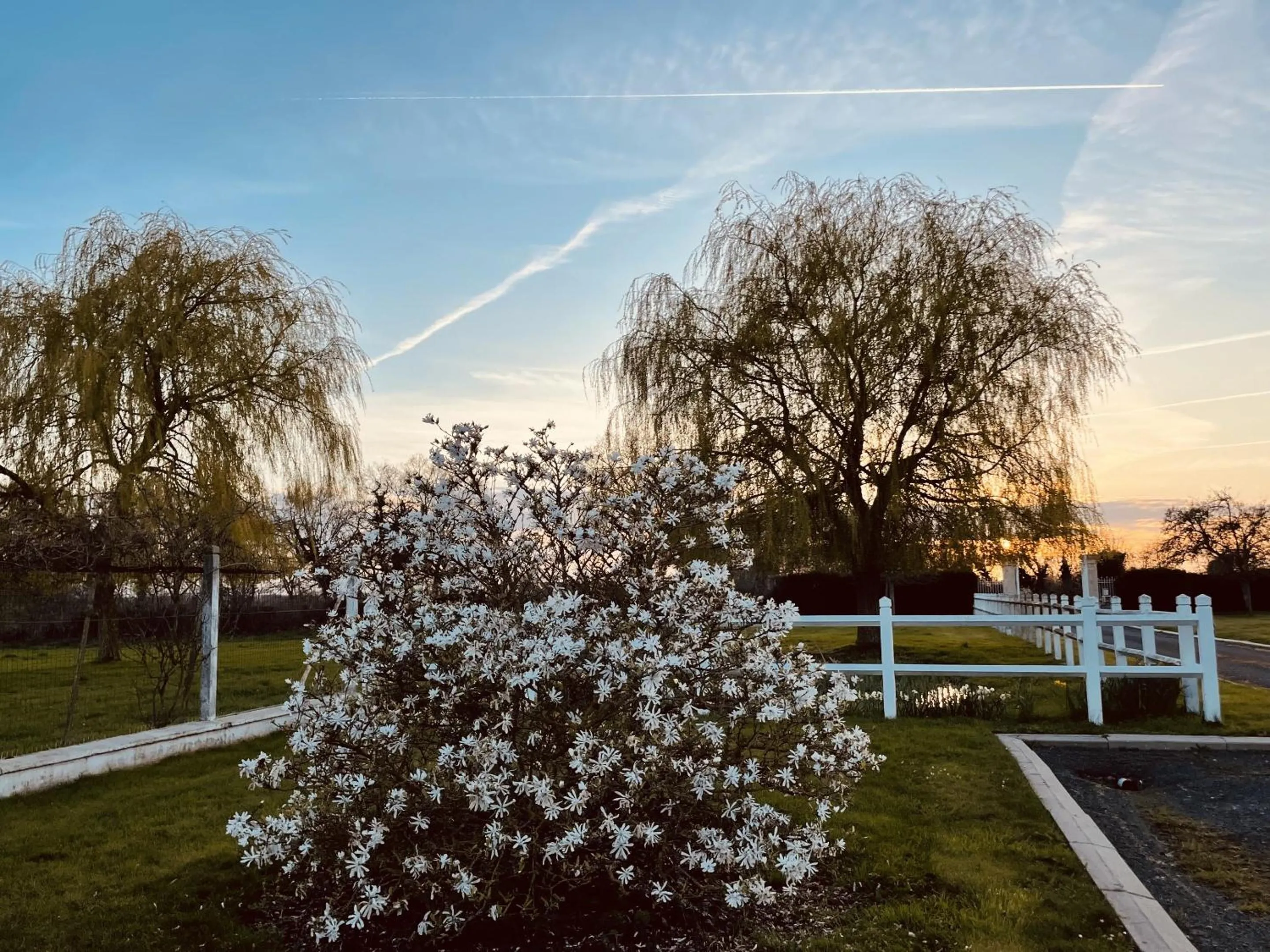 Property building in AureFées
