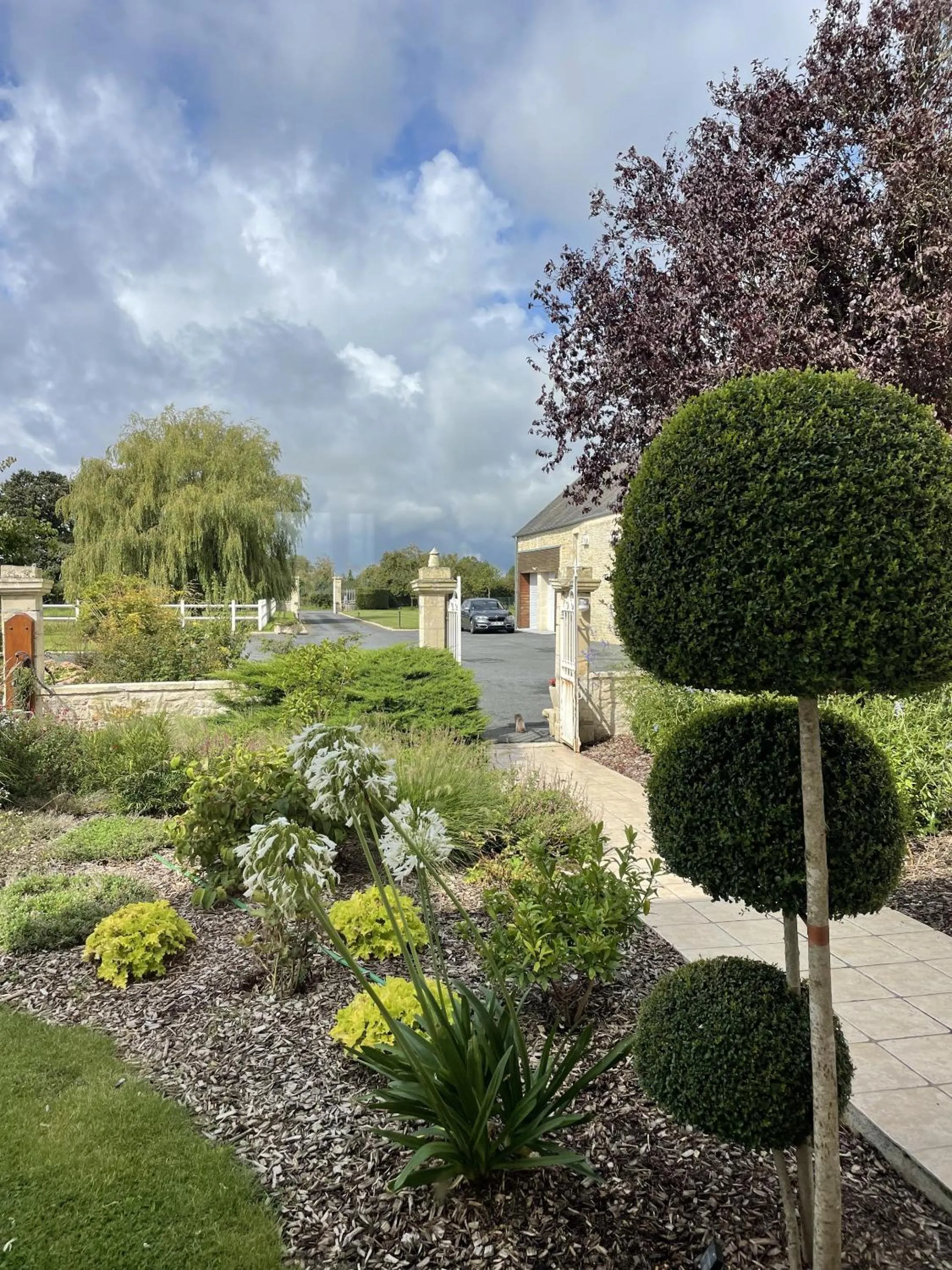 Property building in AureFées