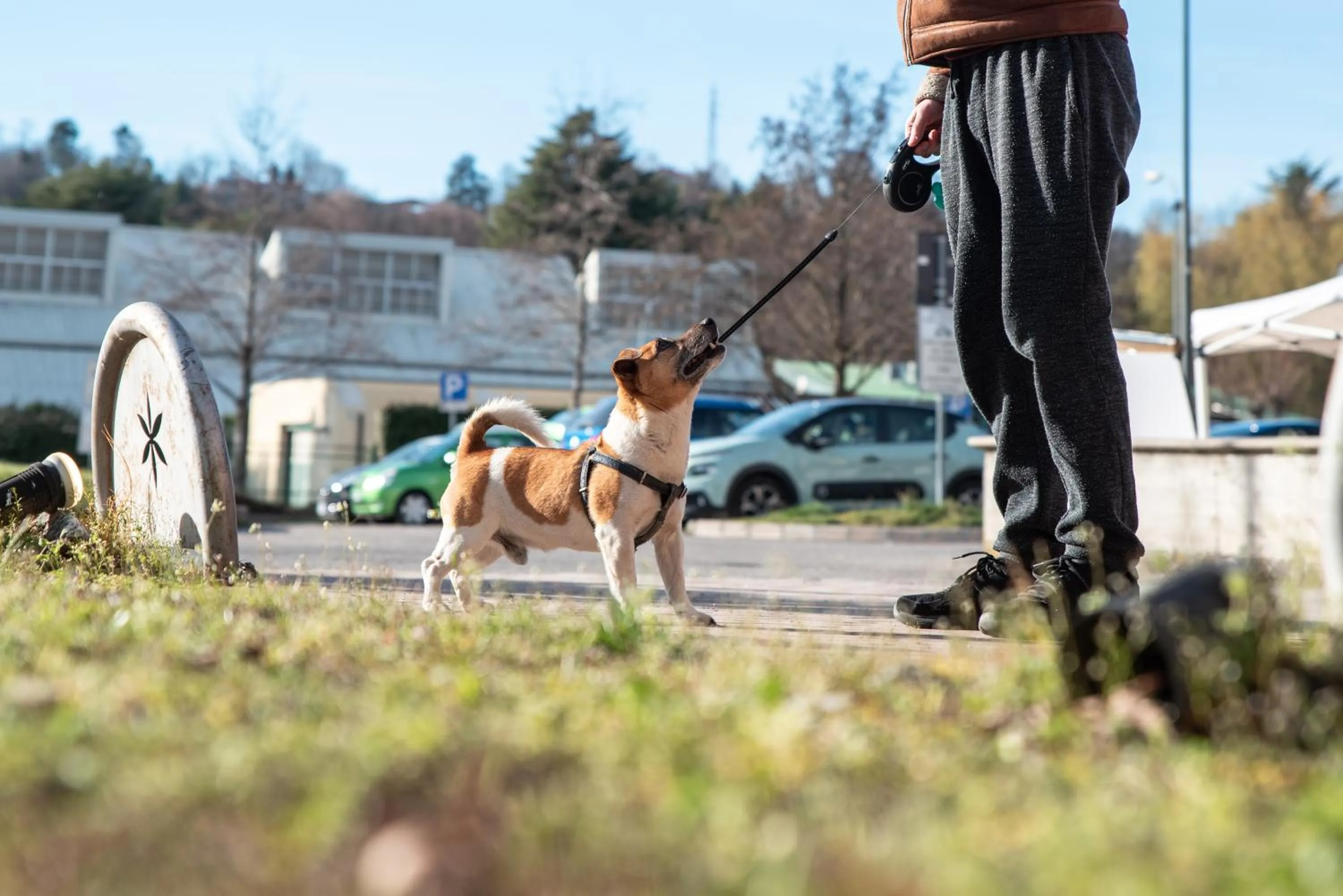 People in Hotel Residence Montelago