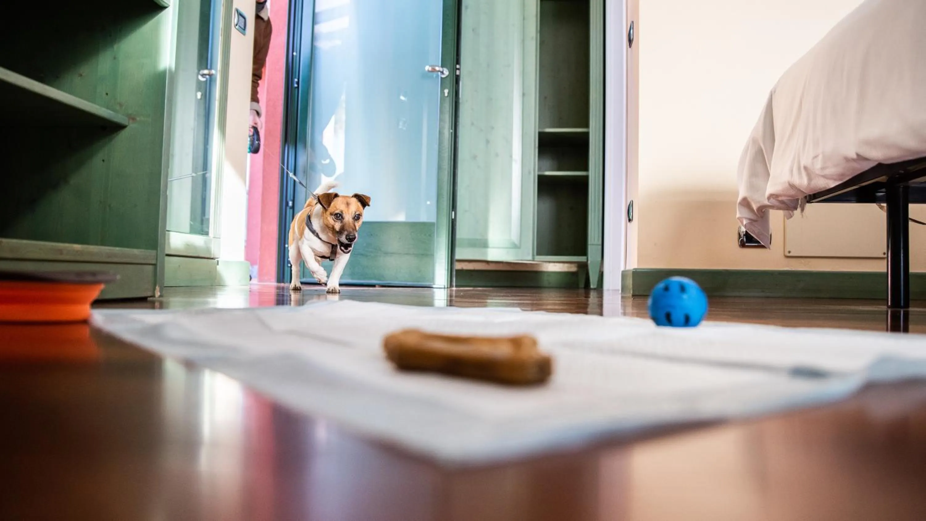 Bedroom in Hotel Residence Montelago