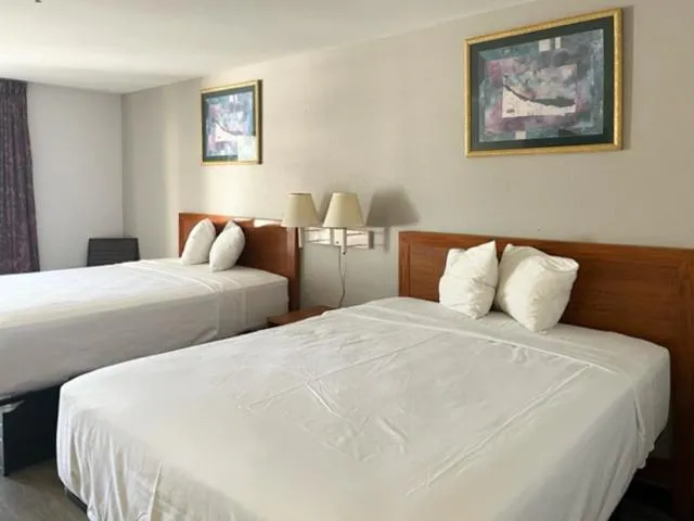 Bedroom, Bed in Rodeway Inn