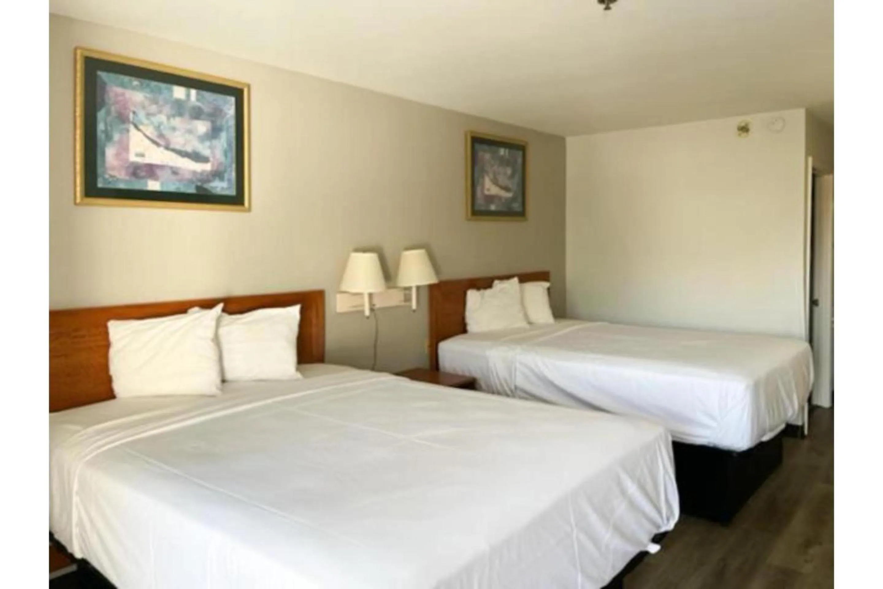 Bedroom, Bed in Motel 6 Laurel, MS