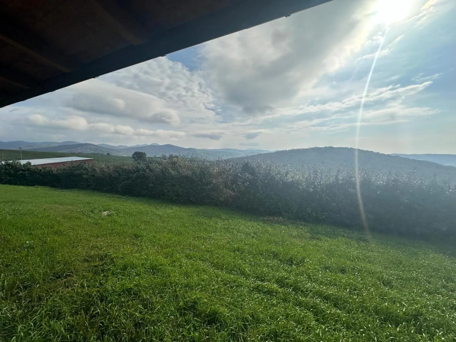 Garden view in Hotel Tenuta dell'Argento Resort