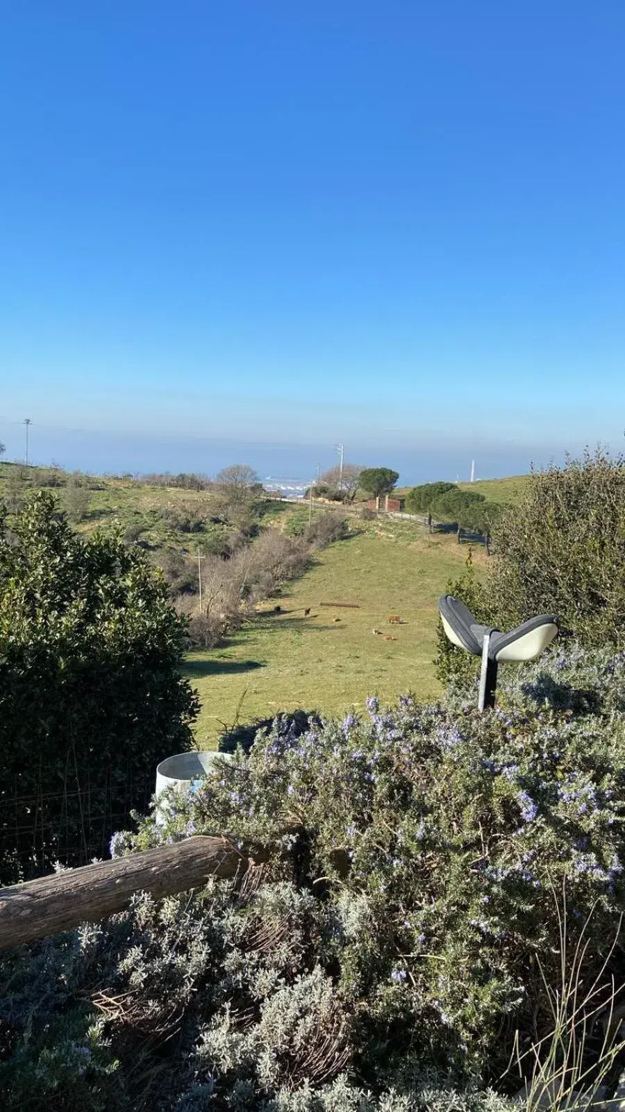 Garden view in Hotel Tenuta dell'Argento Resort Garden view in Hotel Tenuta dell'Argento Resort