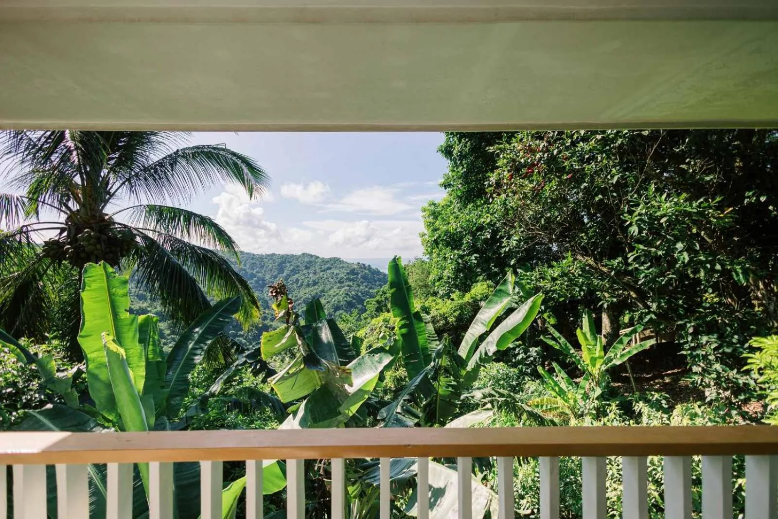 View (from property/room) in Estancia Resort Hotel