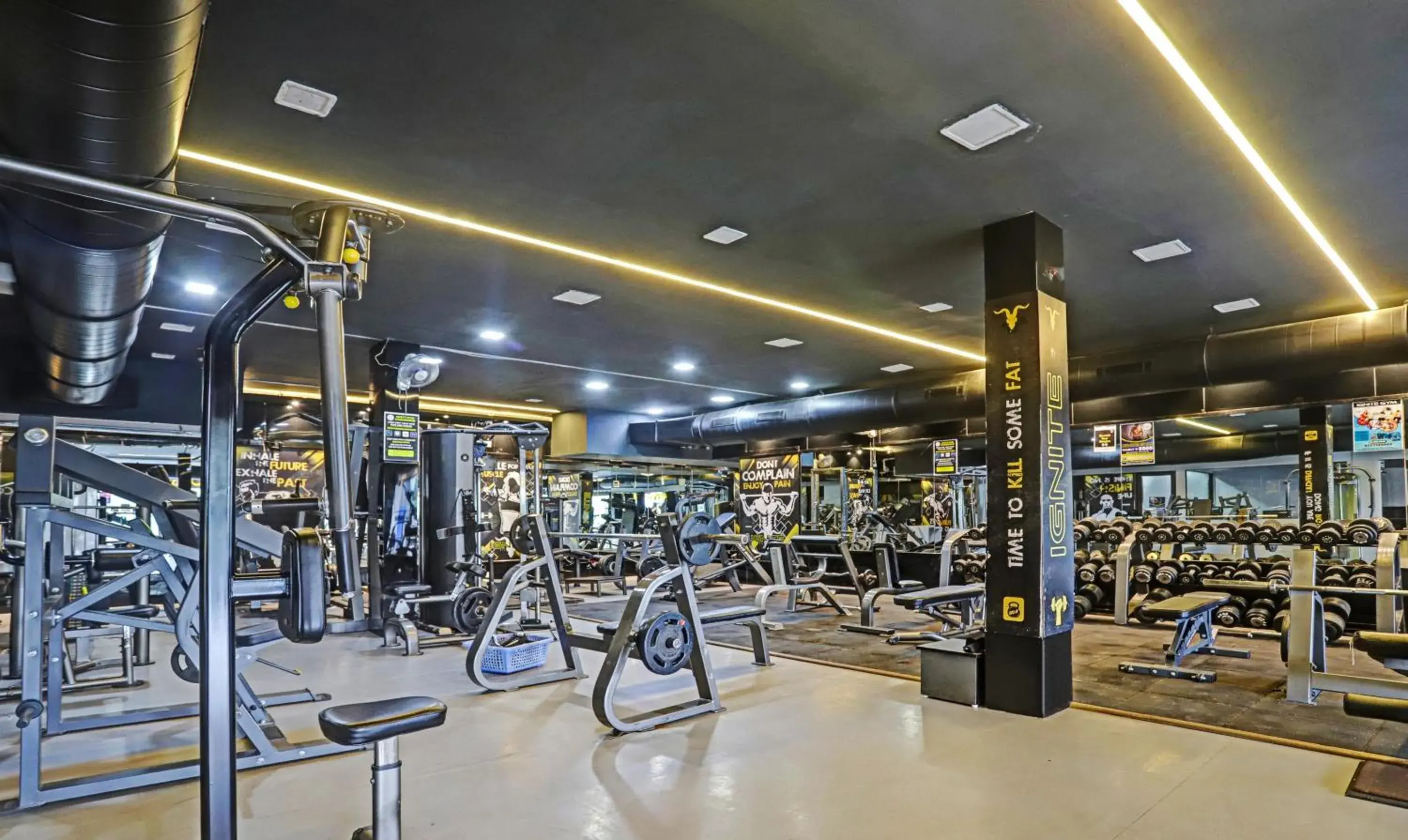 Fitness centre/facilities in Treebo Risha Fitness centre/facilities in Treebo Risha