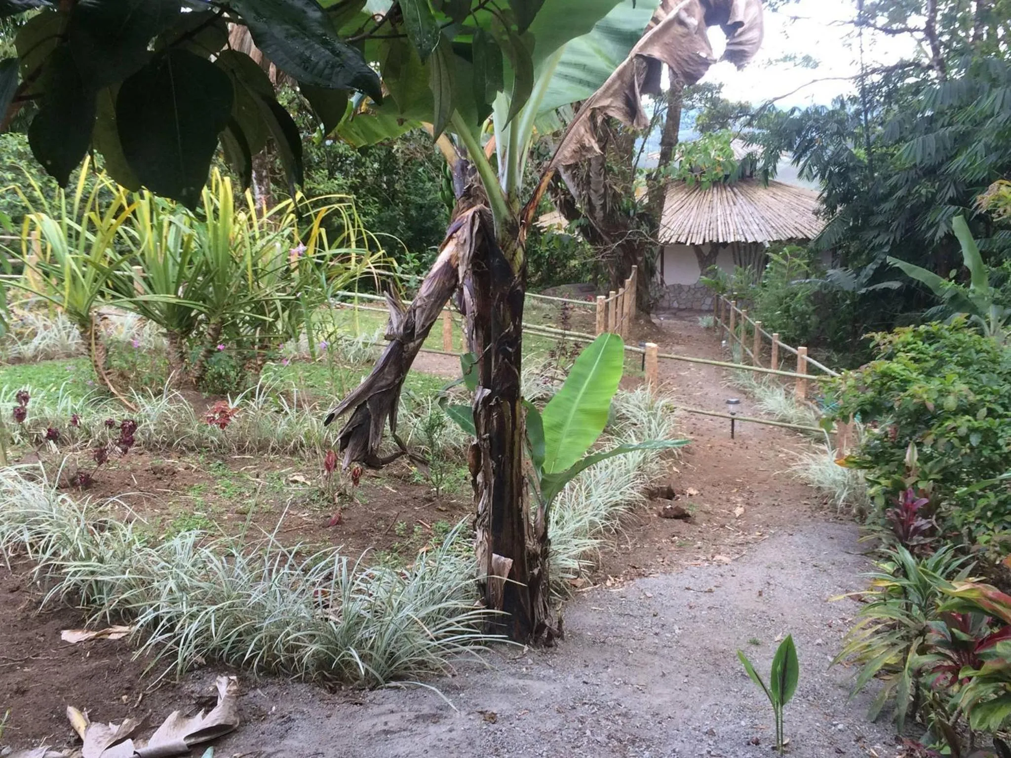 Cascata Del Bosco Cabinas