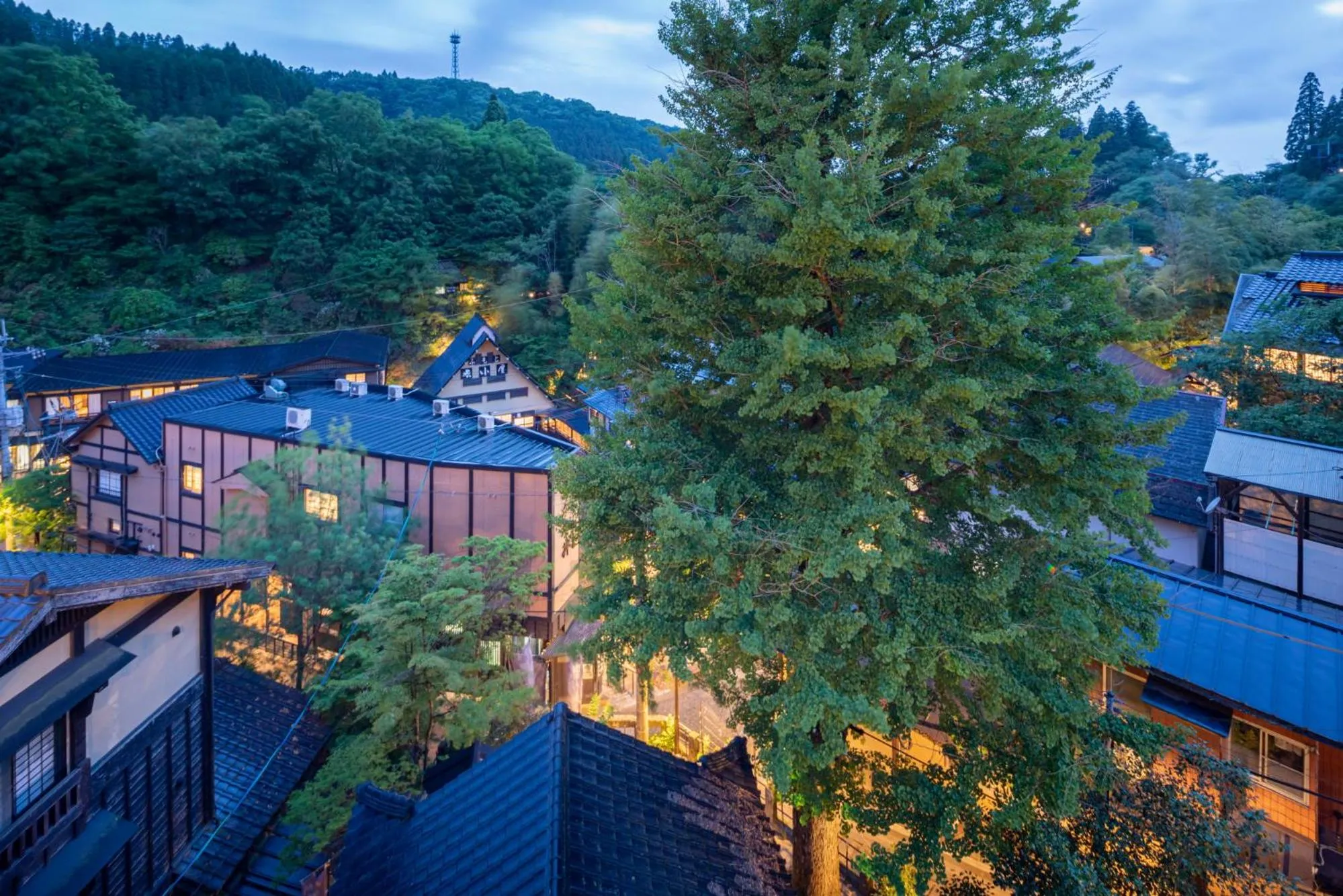 View (from property/room) in Ryokan Nanjoen