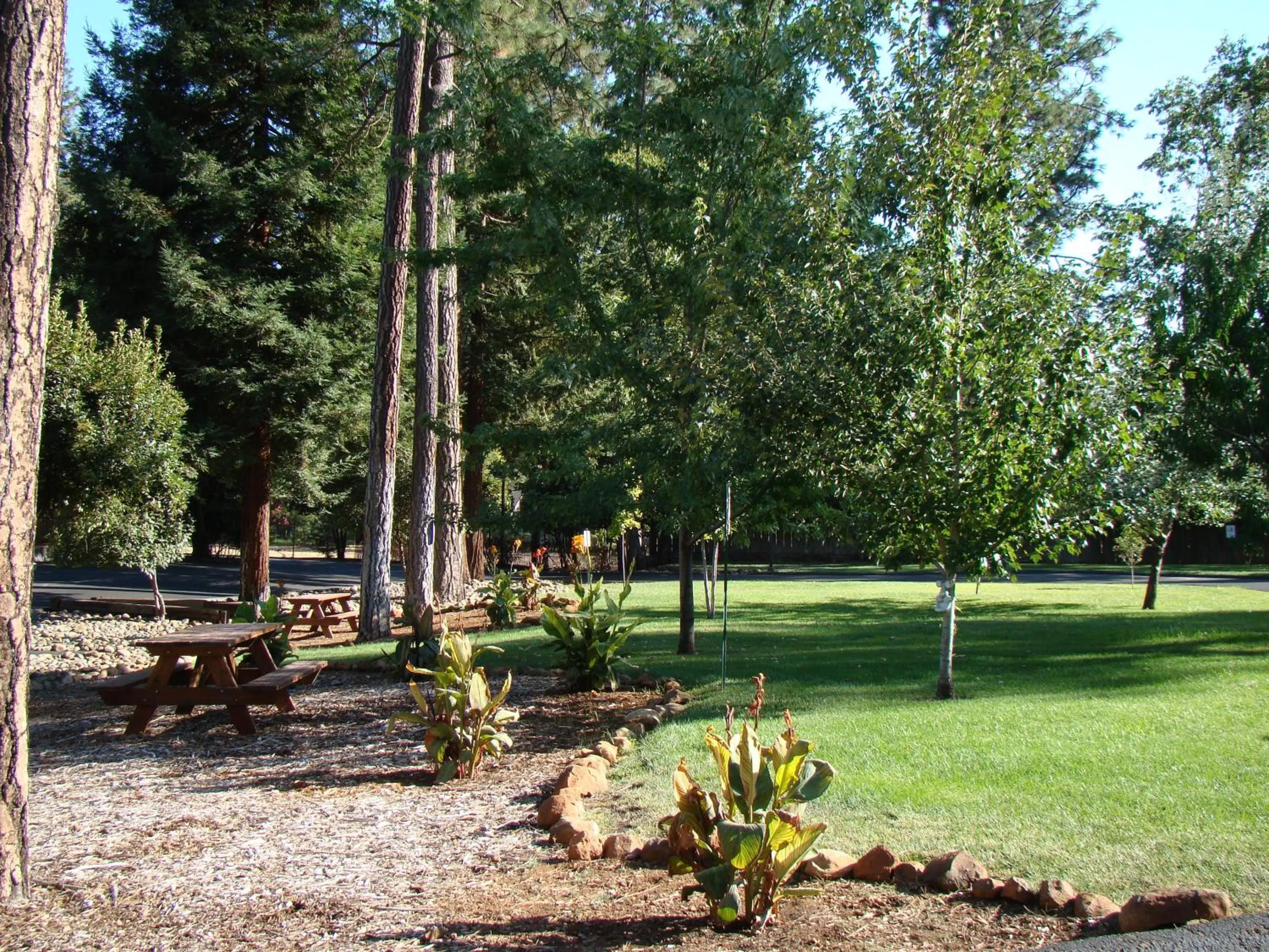 Garden in Ponderosa Gardens Motel